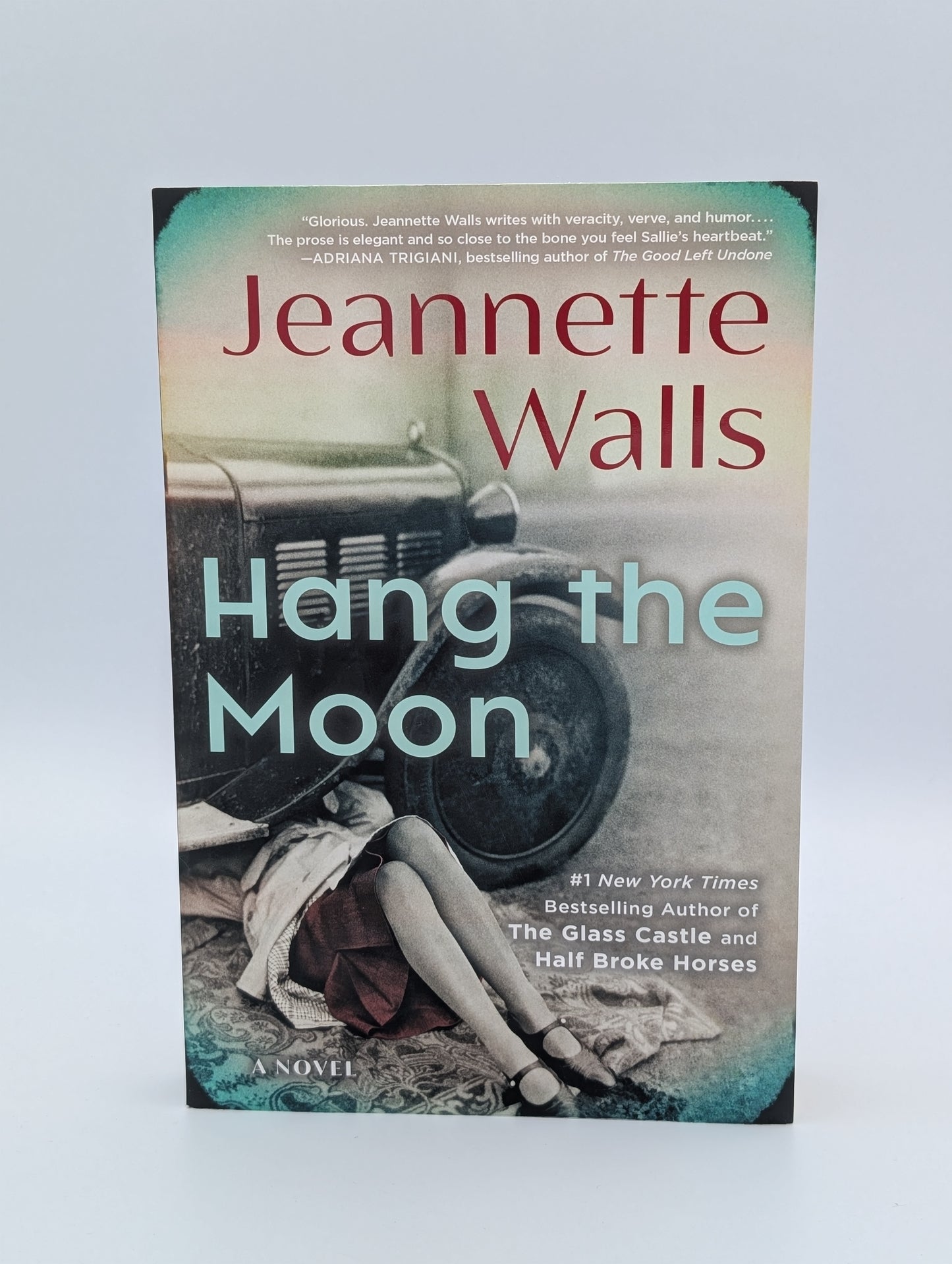Hang the Moon: A Novel (Wild Bloom)