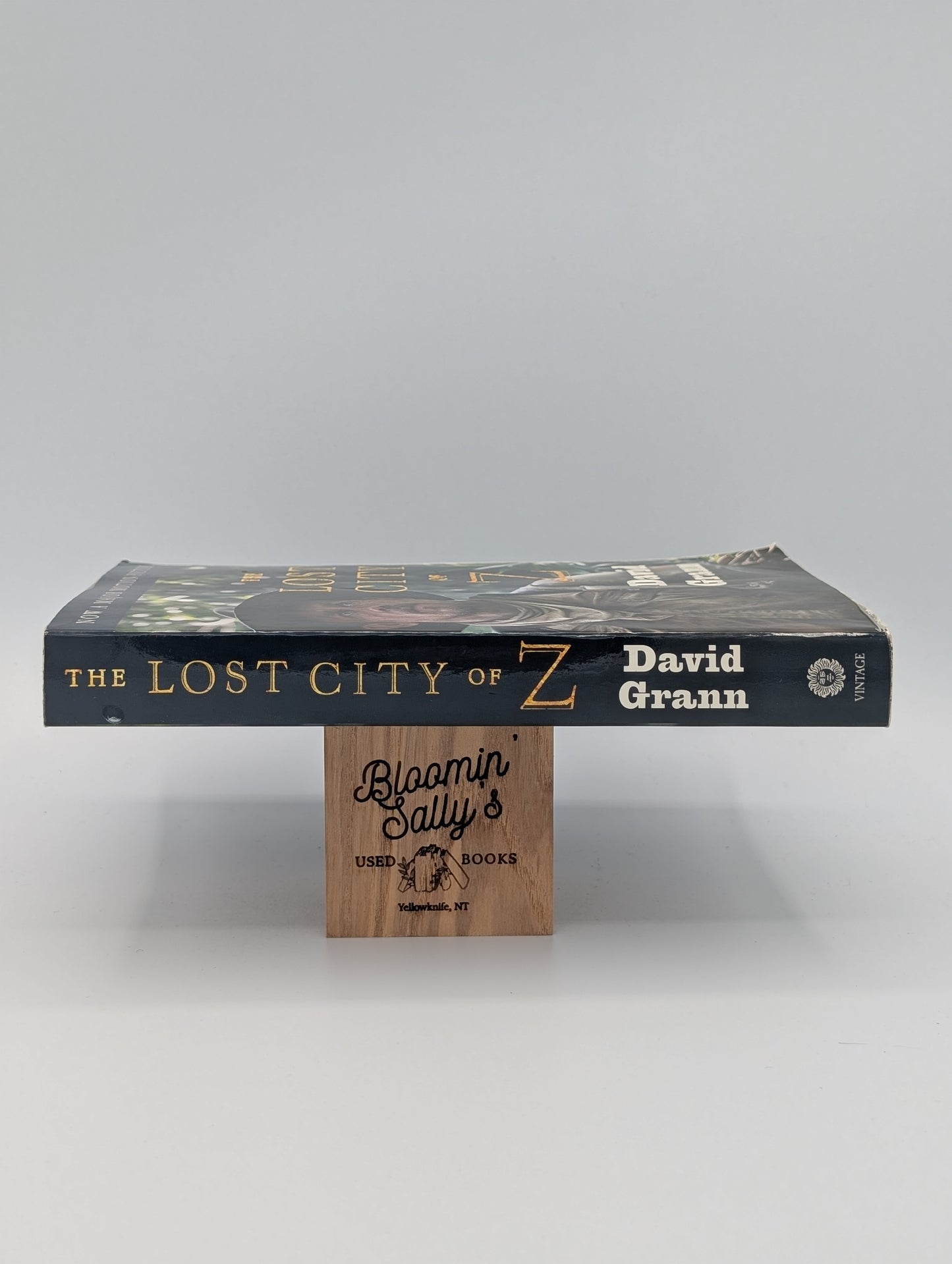 The Lost City of Z (Movie Tie-In): A Tale of Deadly Obsession in the Amazon (Vintage Departures)