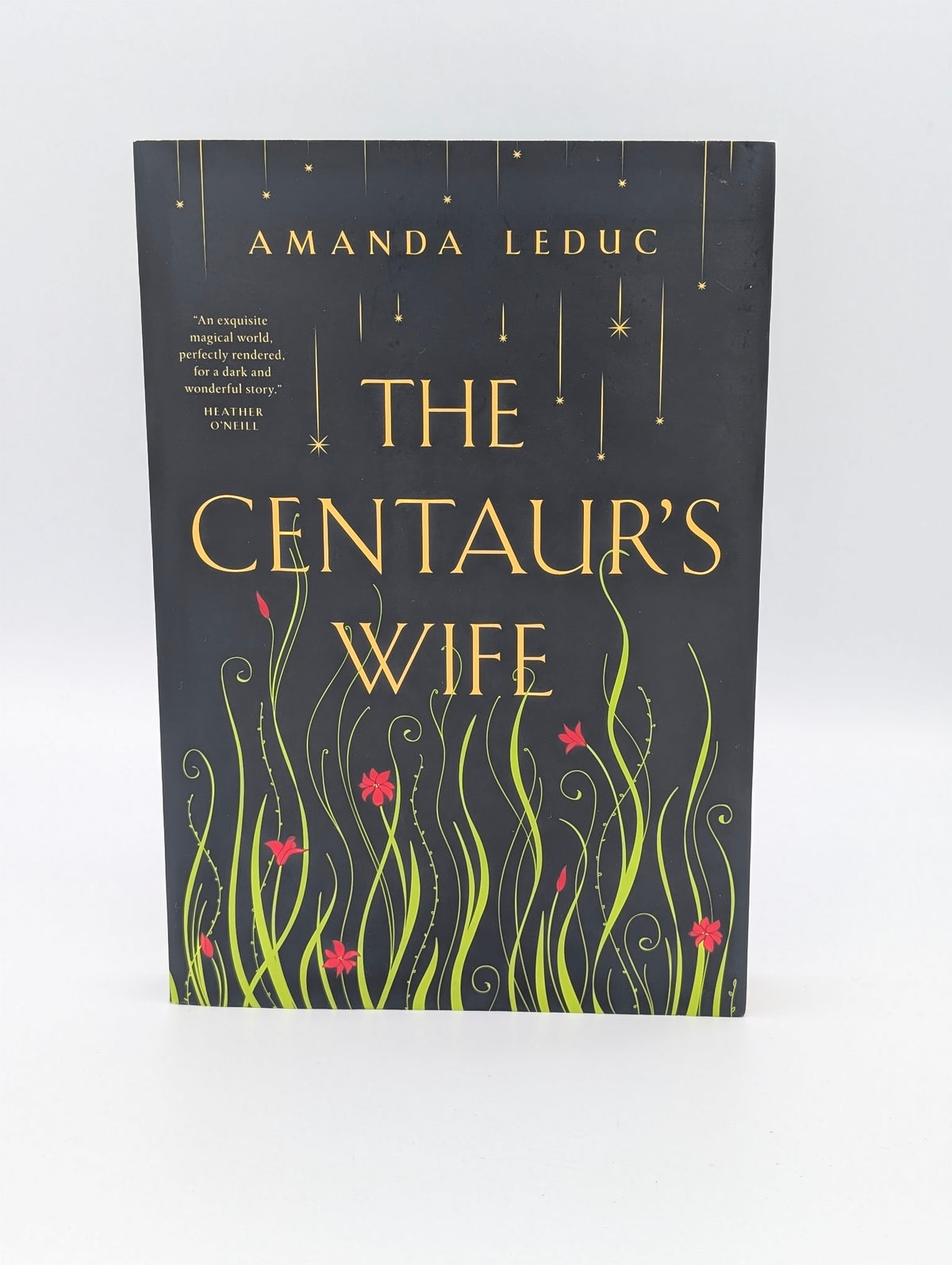 The Centaur's Wife