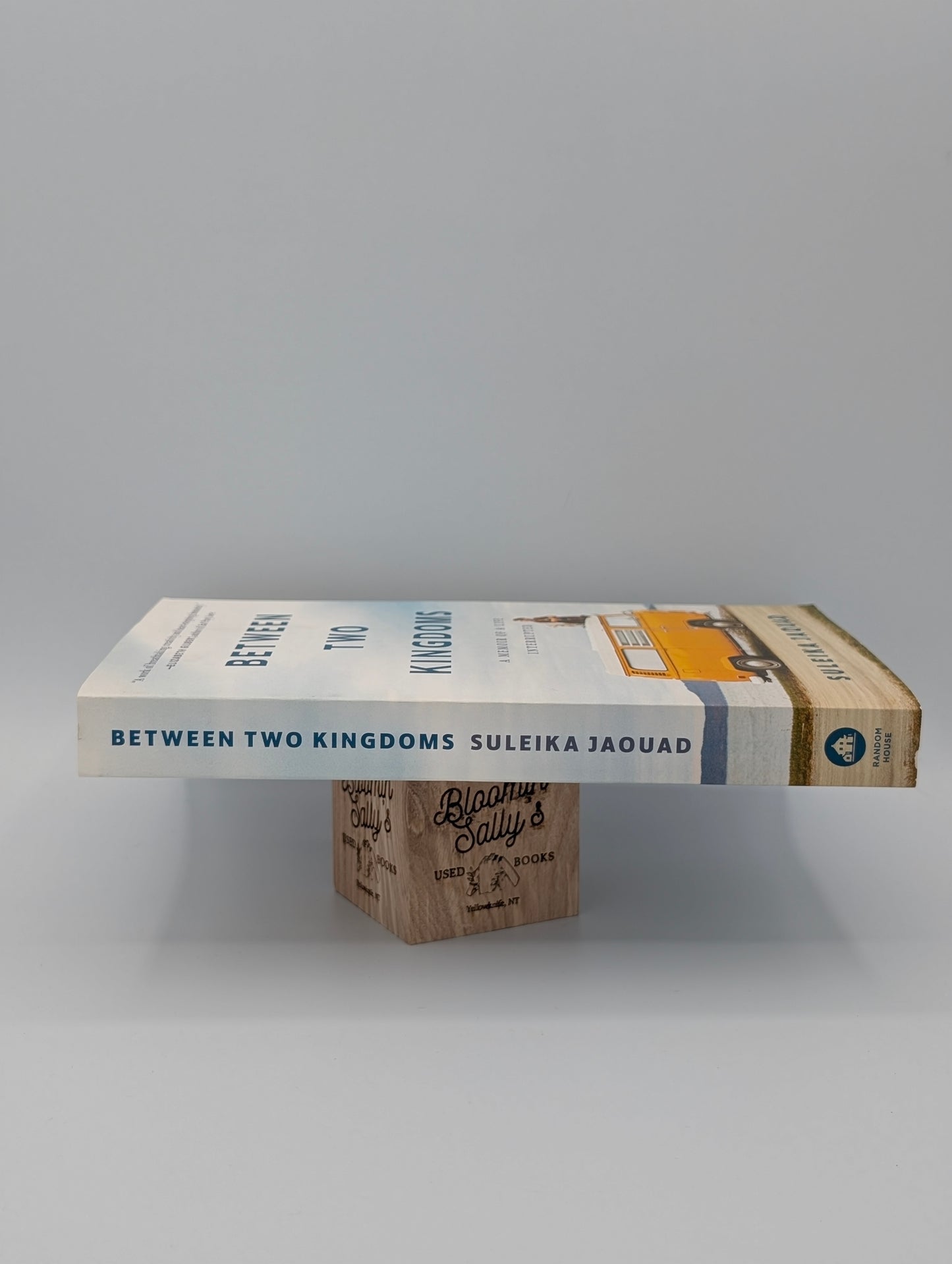 Between Two Kingdoms: A Memoir of a Life Interrupted