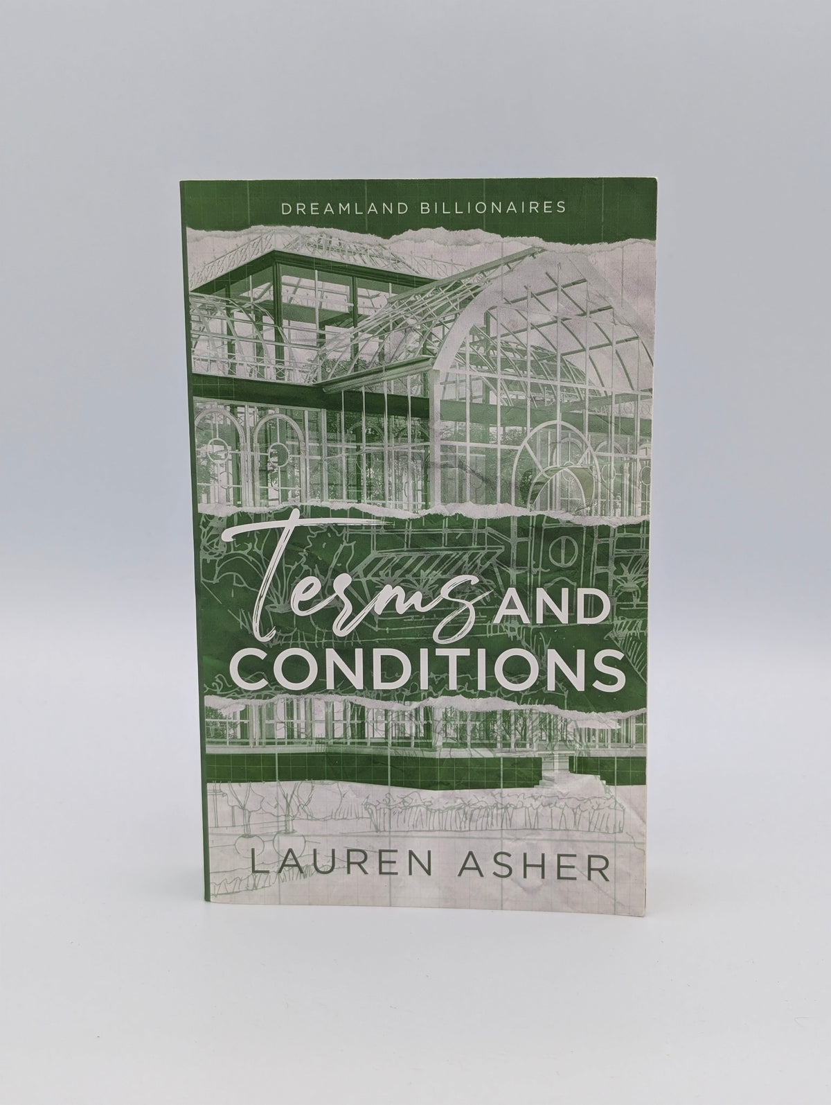 Terms and Conditions: Dreamland Billionaires, 2