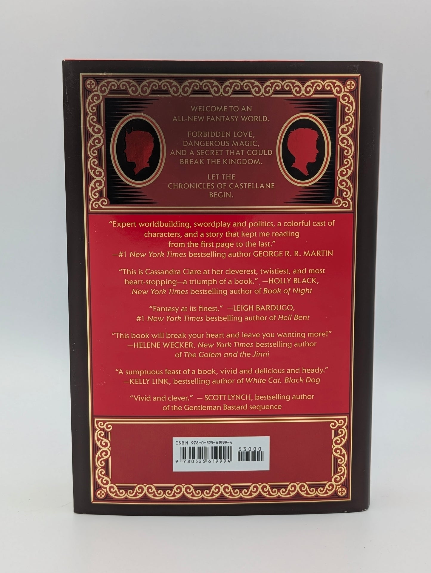 Sword Catcher (The Chronicles of Castellane)