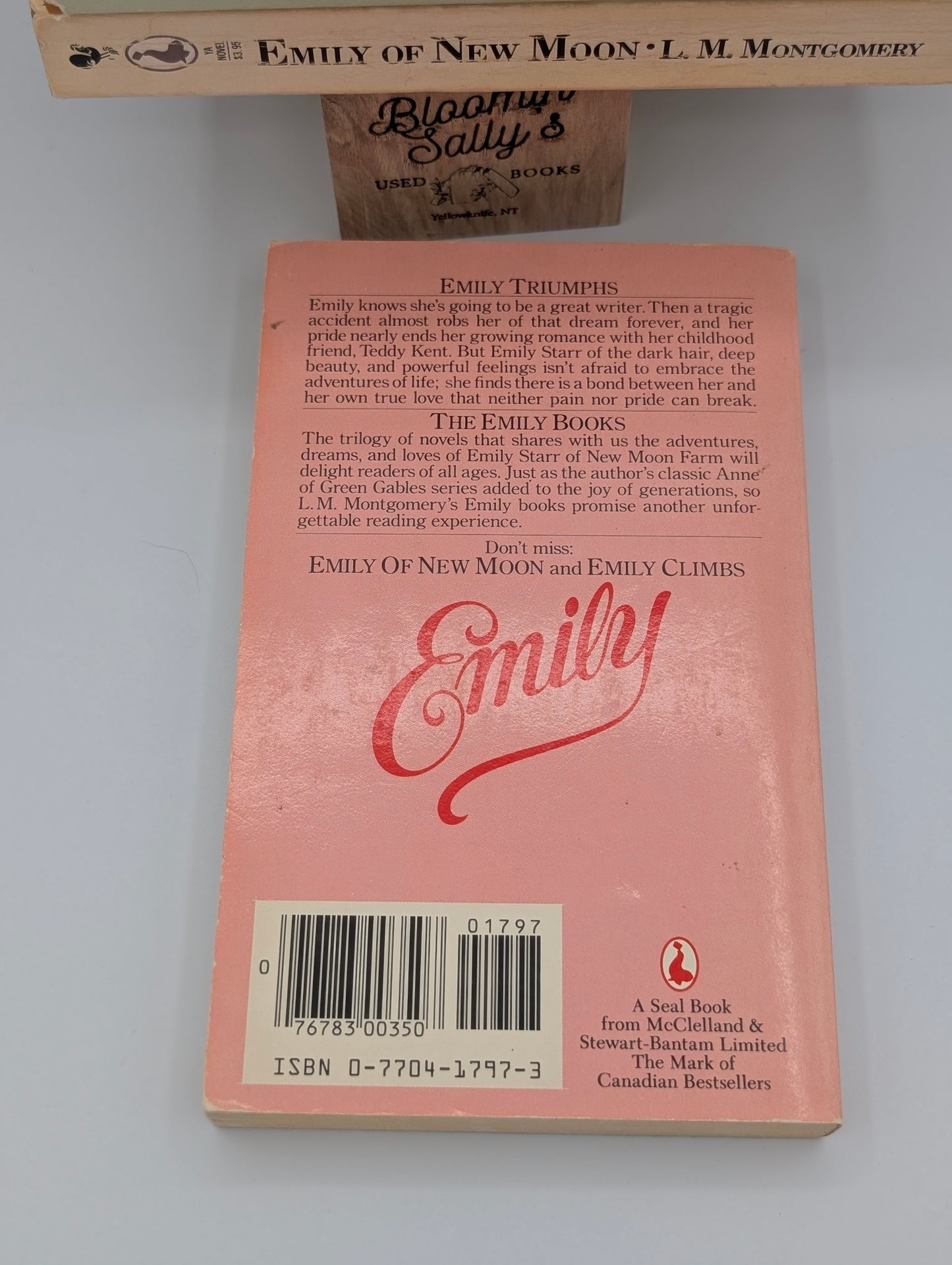 Emily of New Moon Bundle