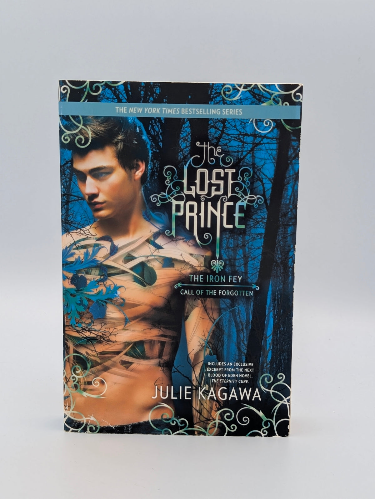 Julie Kagawa 8 Book Fantasy Bundle– The Iron Fey & Spin-offs