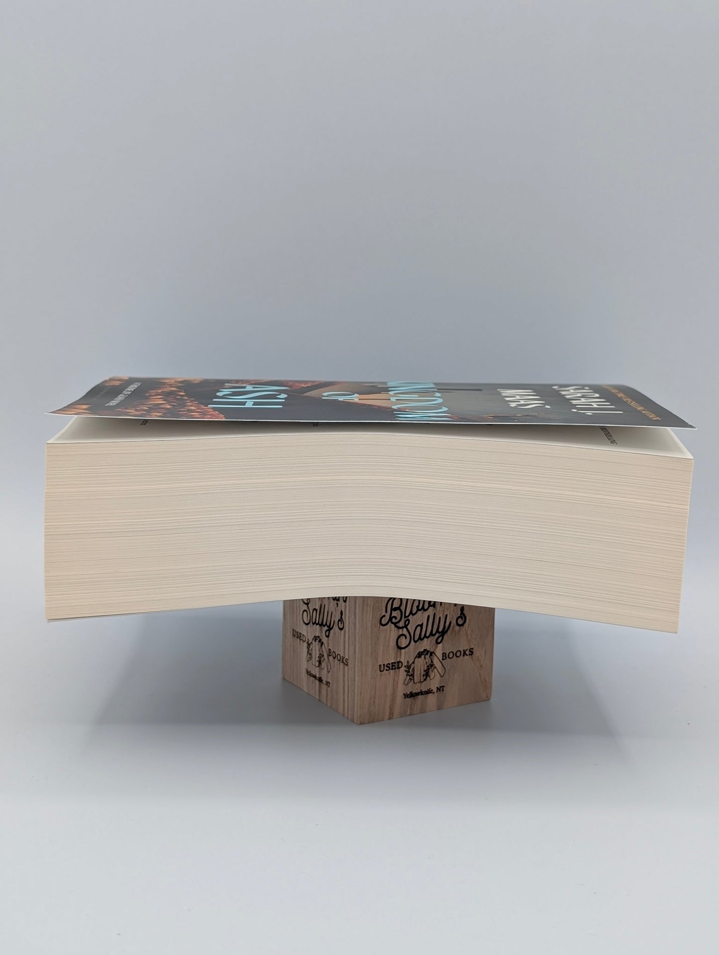 Kingdom of Ash (Throne of Glass, 7)