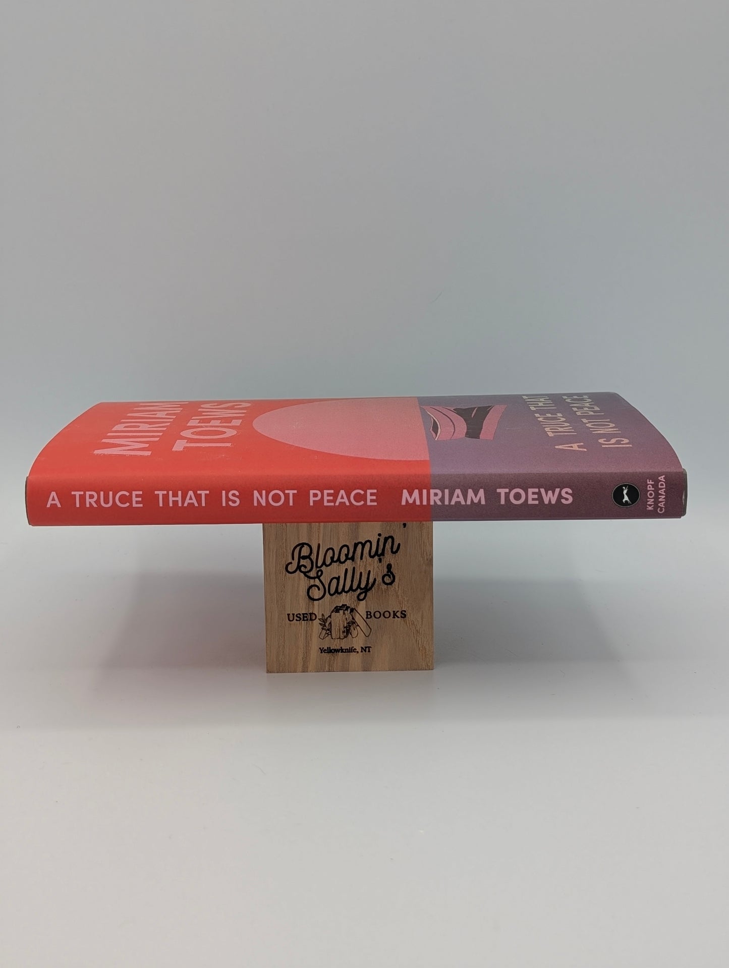 A Truce That Is Not Peace