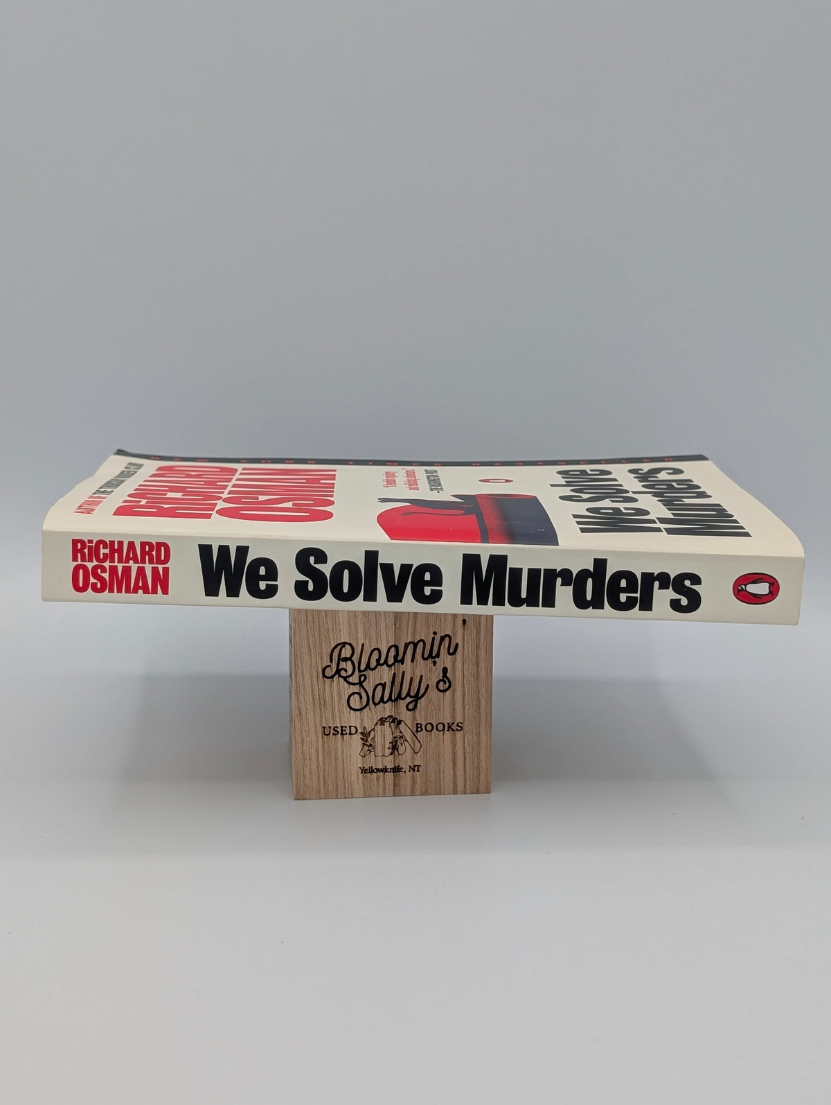 We Solve Murders: A Novel