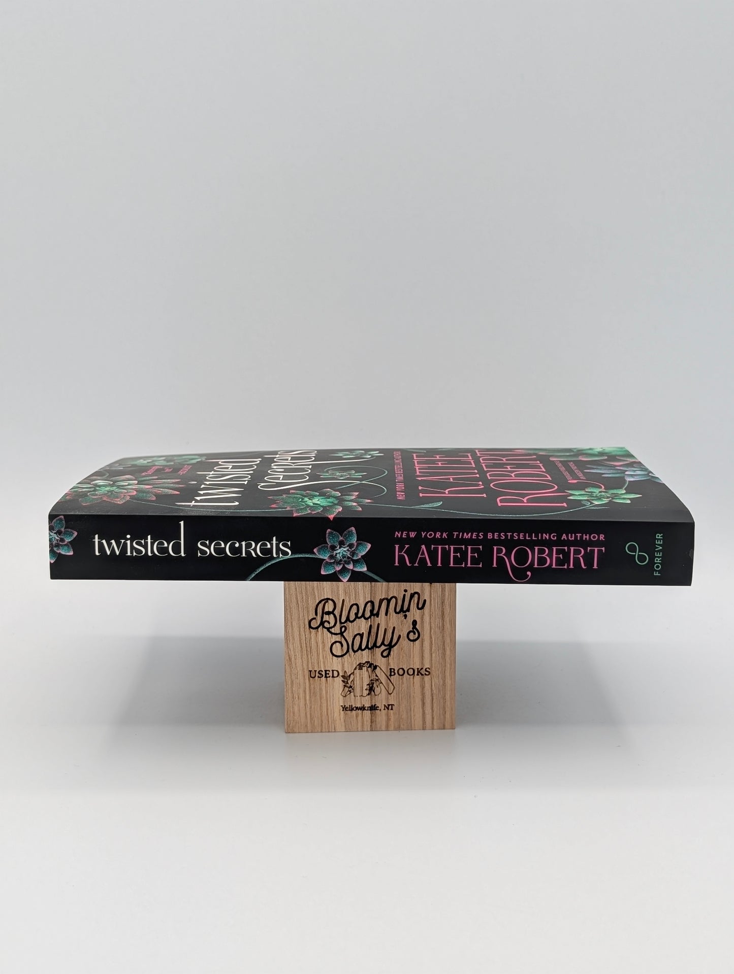 Twisted Secrets (previously published as Indecent Proposal)