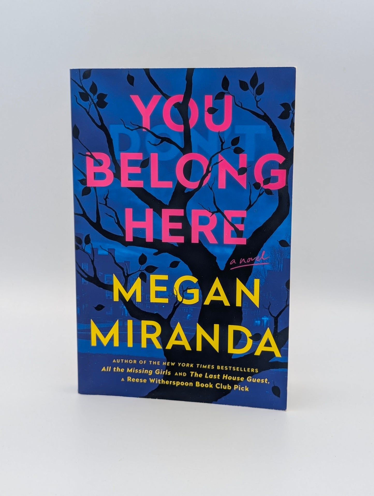 You Belong Here: A Novel