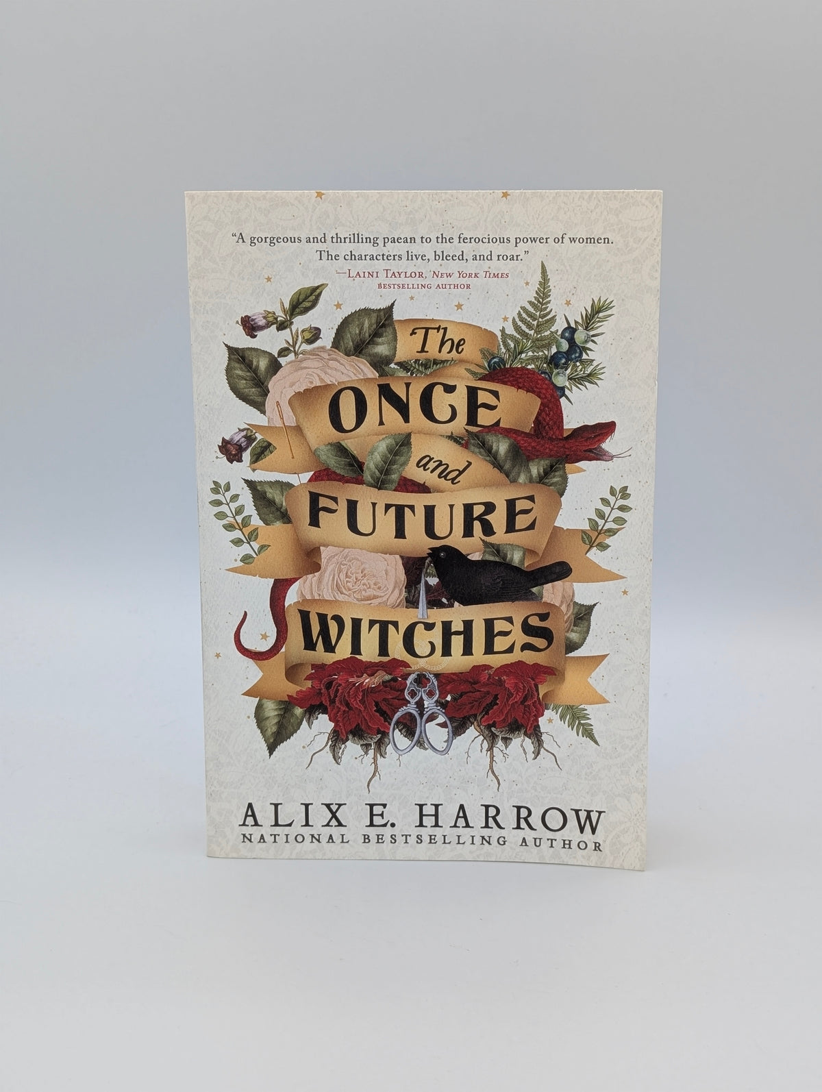 The Once and Future Witches