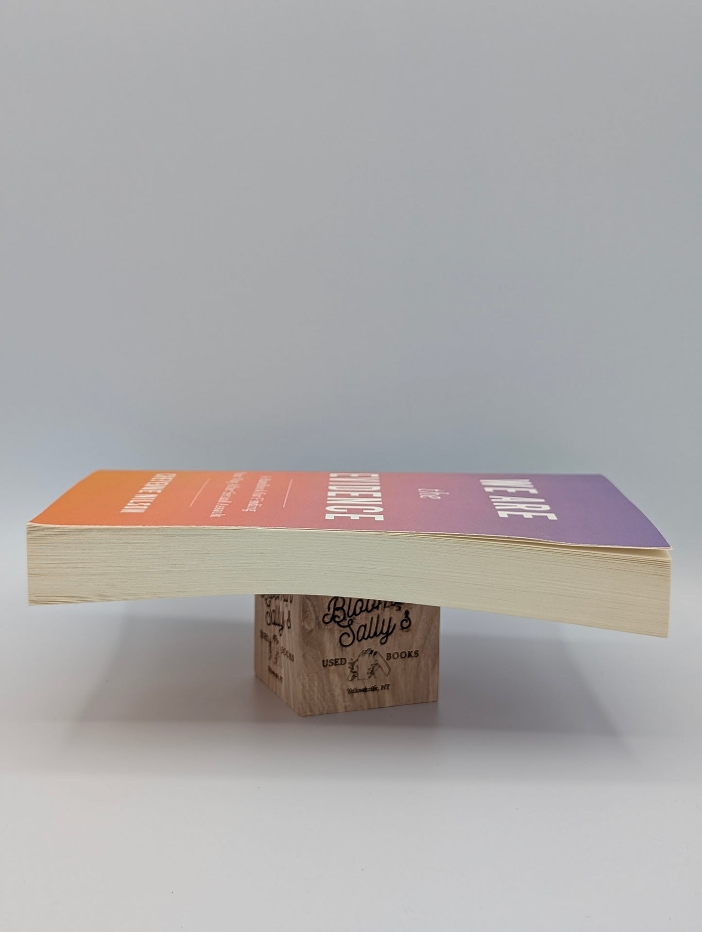 We Are the Evidence: A Handbook for Finding Your Way After Sexual Assault