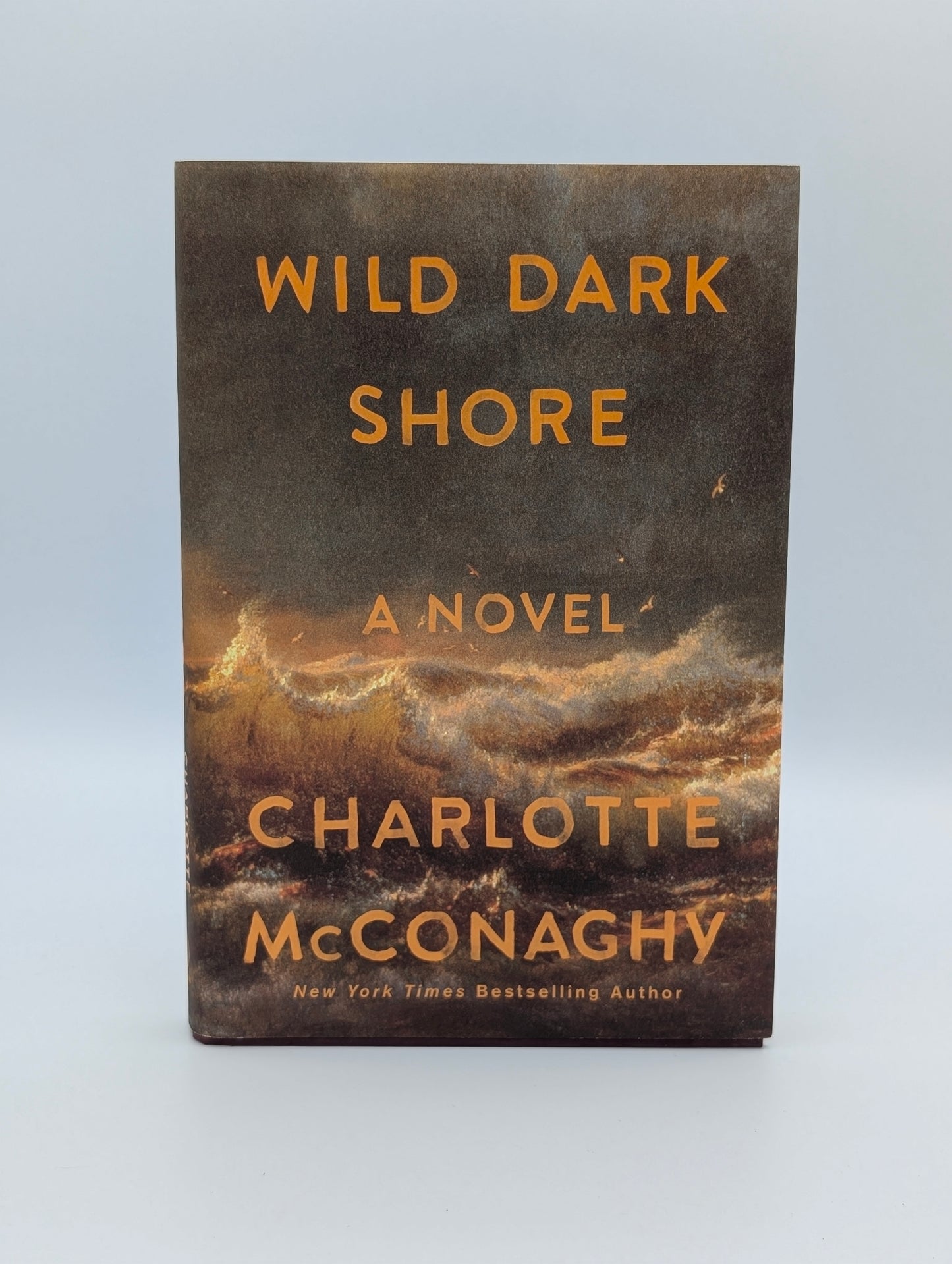 Wild Dark Shore: A Novel (Reese's Book Club)