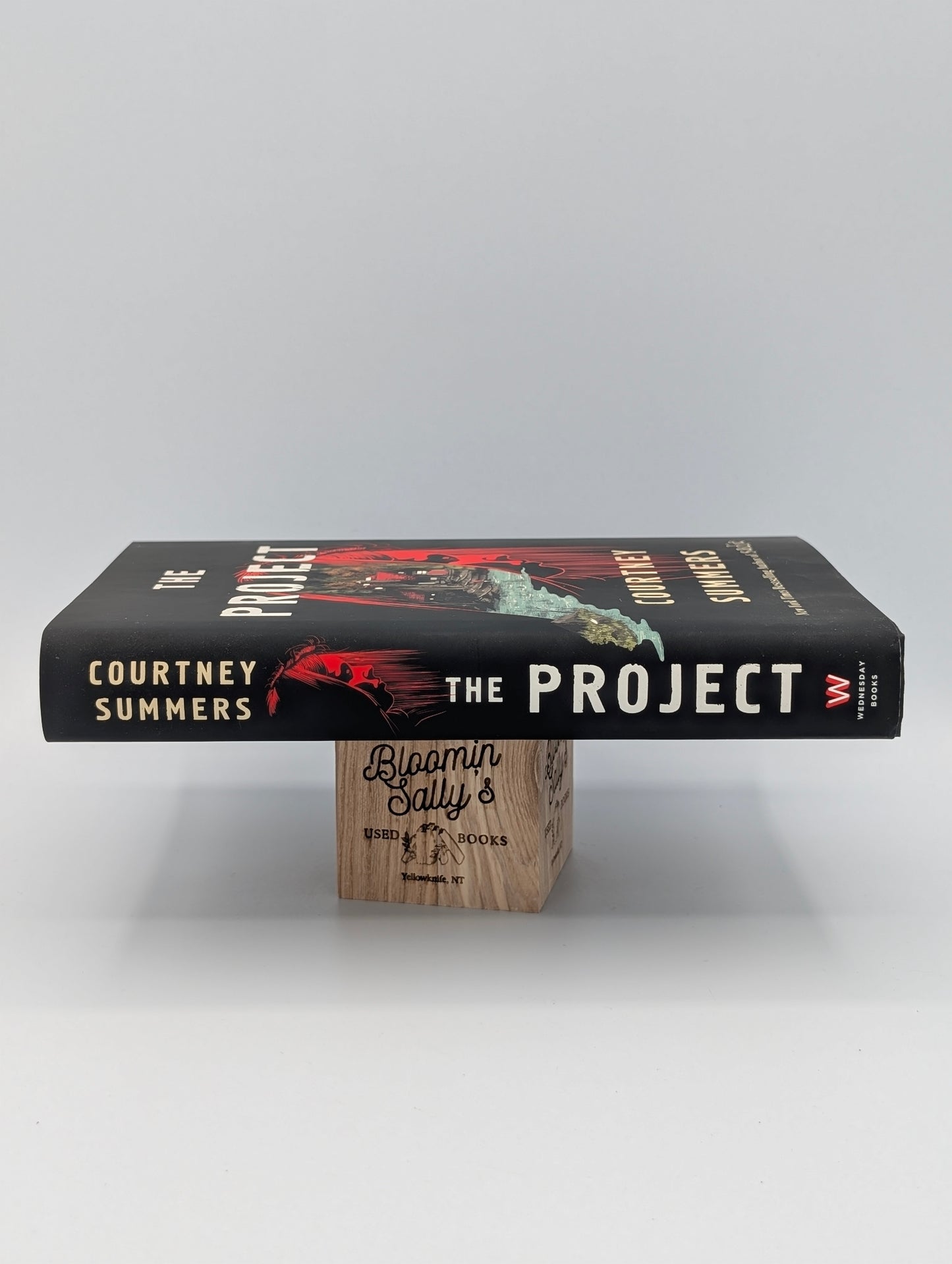 The Project: A Novel
