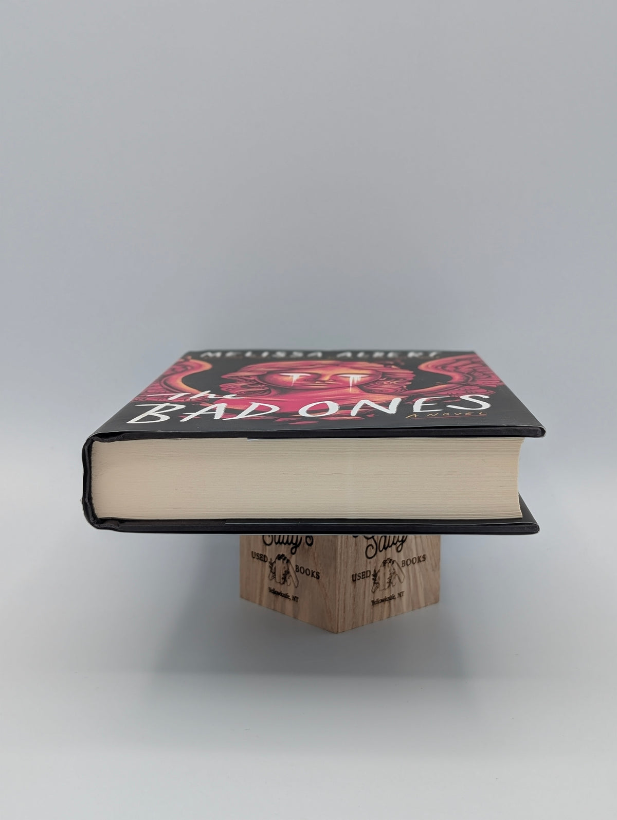 The Bad Ones: A Novel