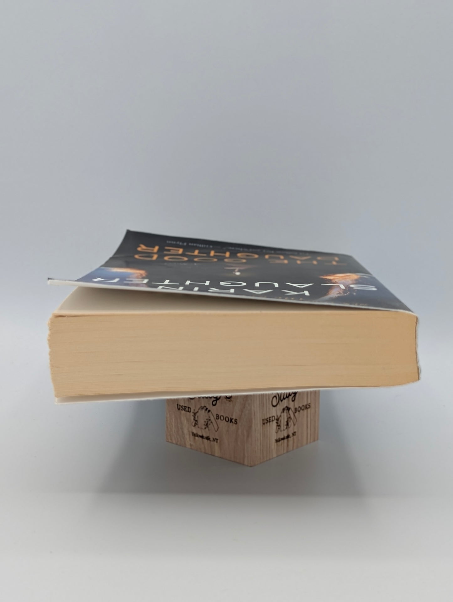 The Good Daughter: A Novel