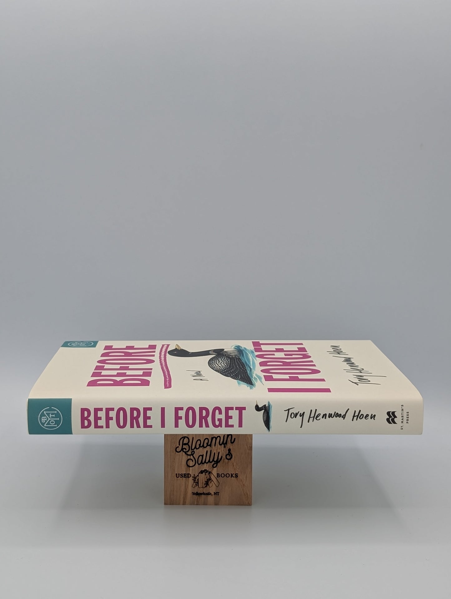 Before I Forget: A Novel (BOTM)