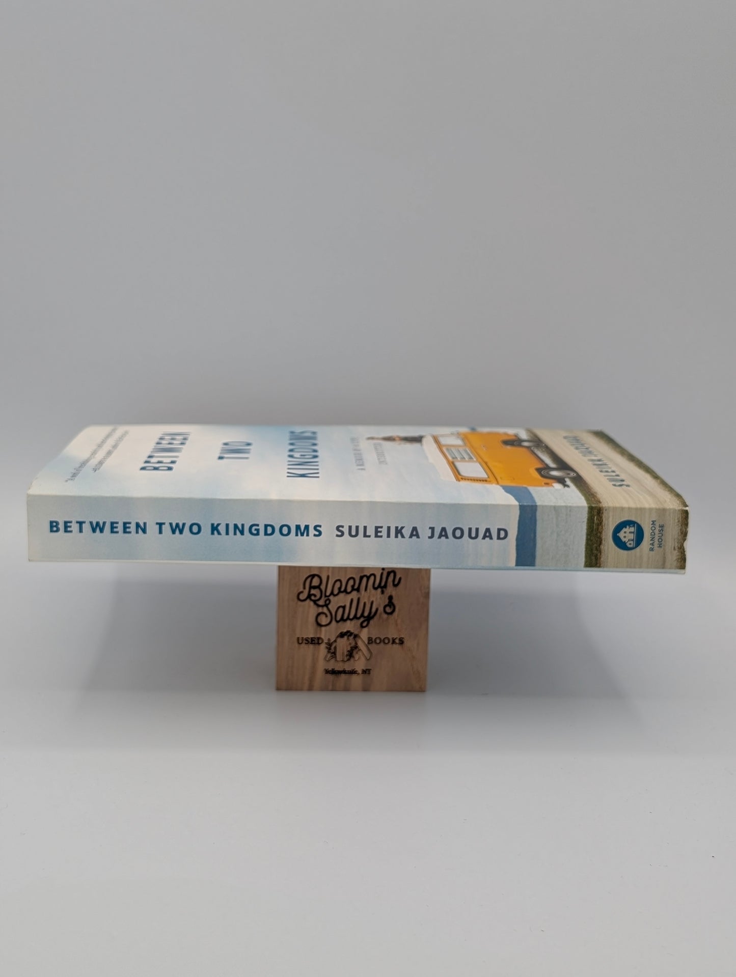 Between Two Kingdoms: A Memoir of a Life Interrupted