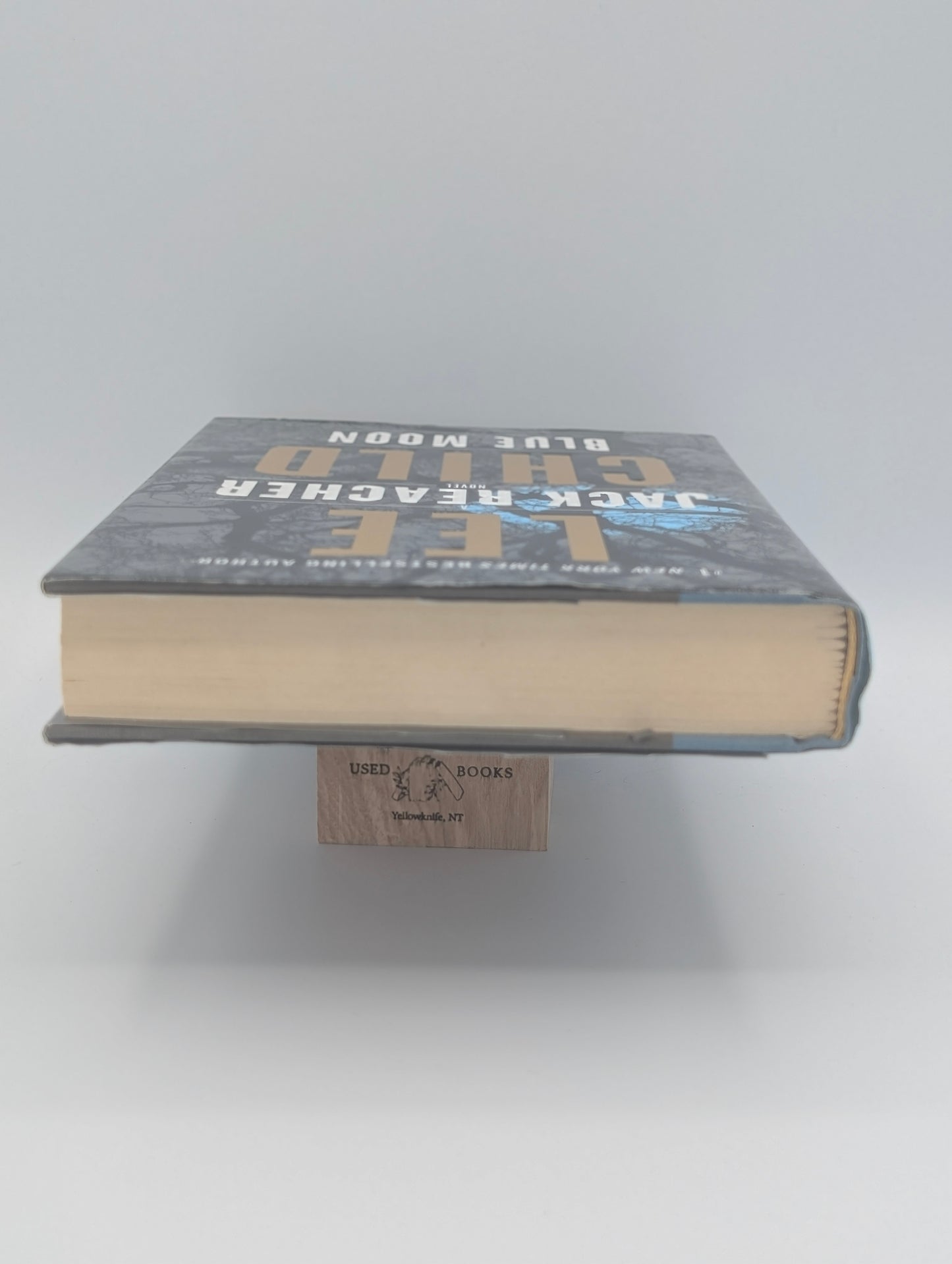 Blue Moon: A Jack Reacher Novel