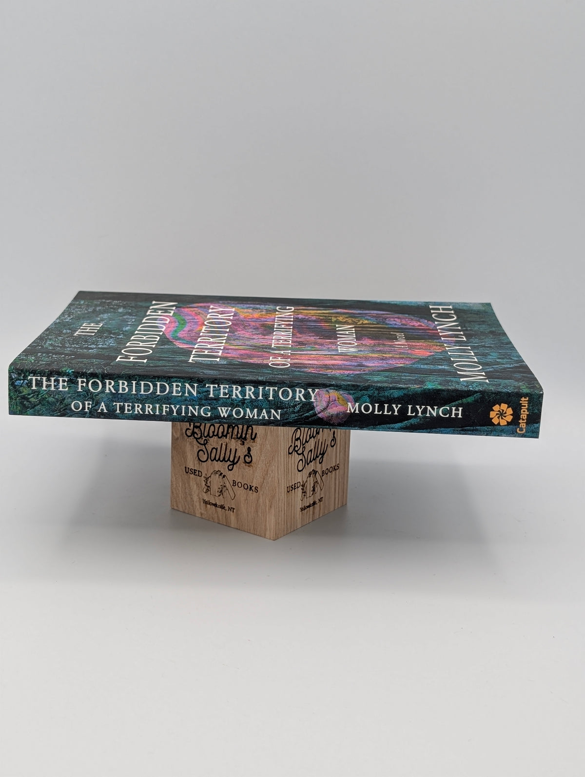 The Forbidden Territory of A Terrifying Woman: A Novel