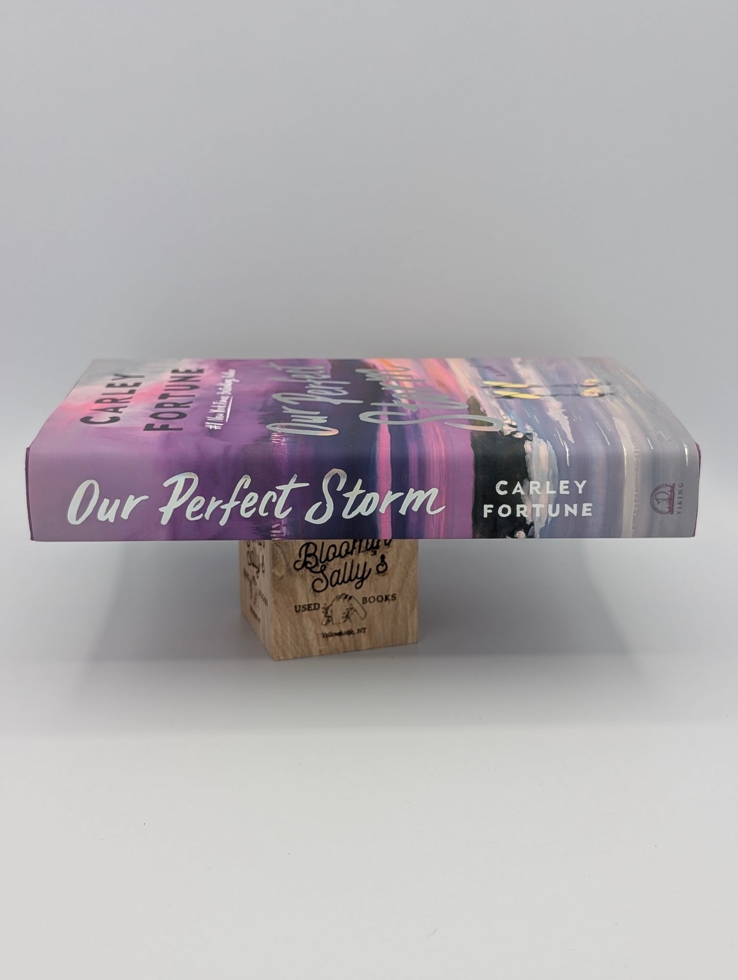 Our Perfect Storm