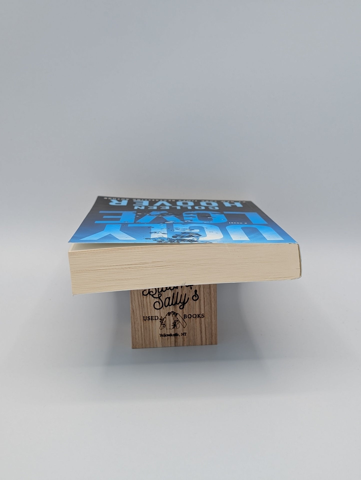 Ugly Love: A Novel
