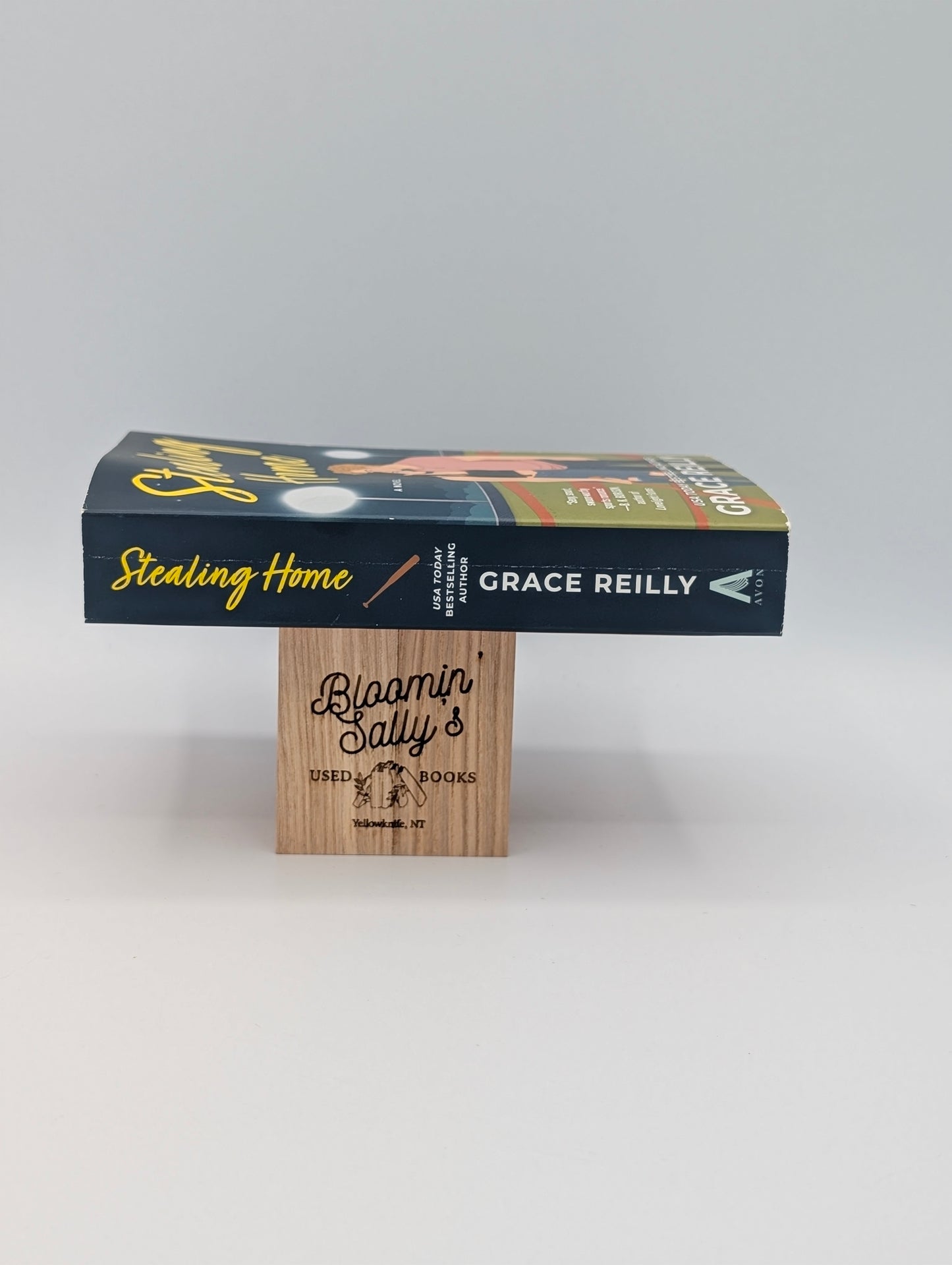 Stealing Home: A Grumpy Sunshine Sports Romance (Beyond the Play, 3)