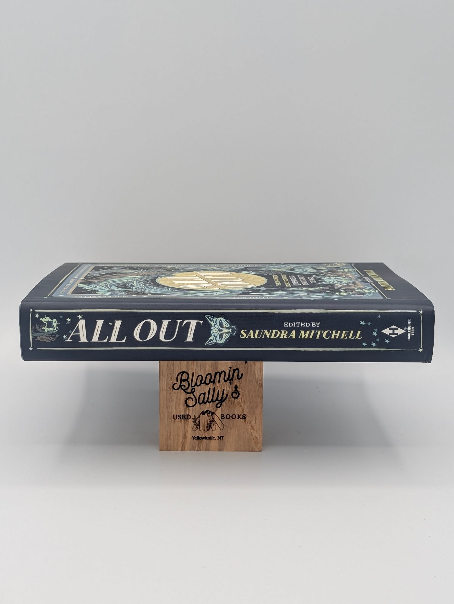 All Out: The No-Longer-Secret Stories of Queer Teens throughout the Ages