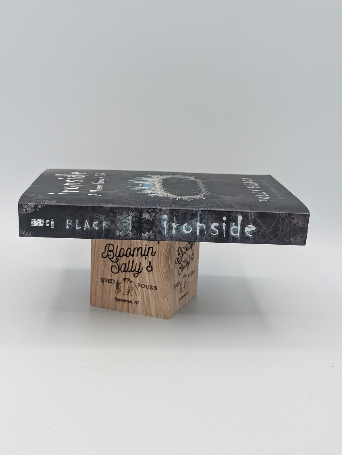 Ironside: A Modern Faerie Tale
