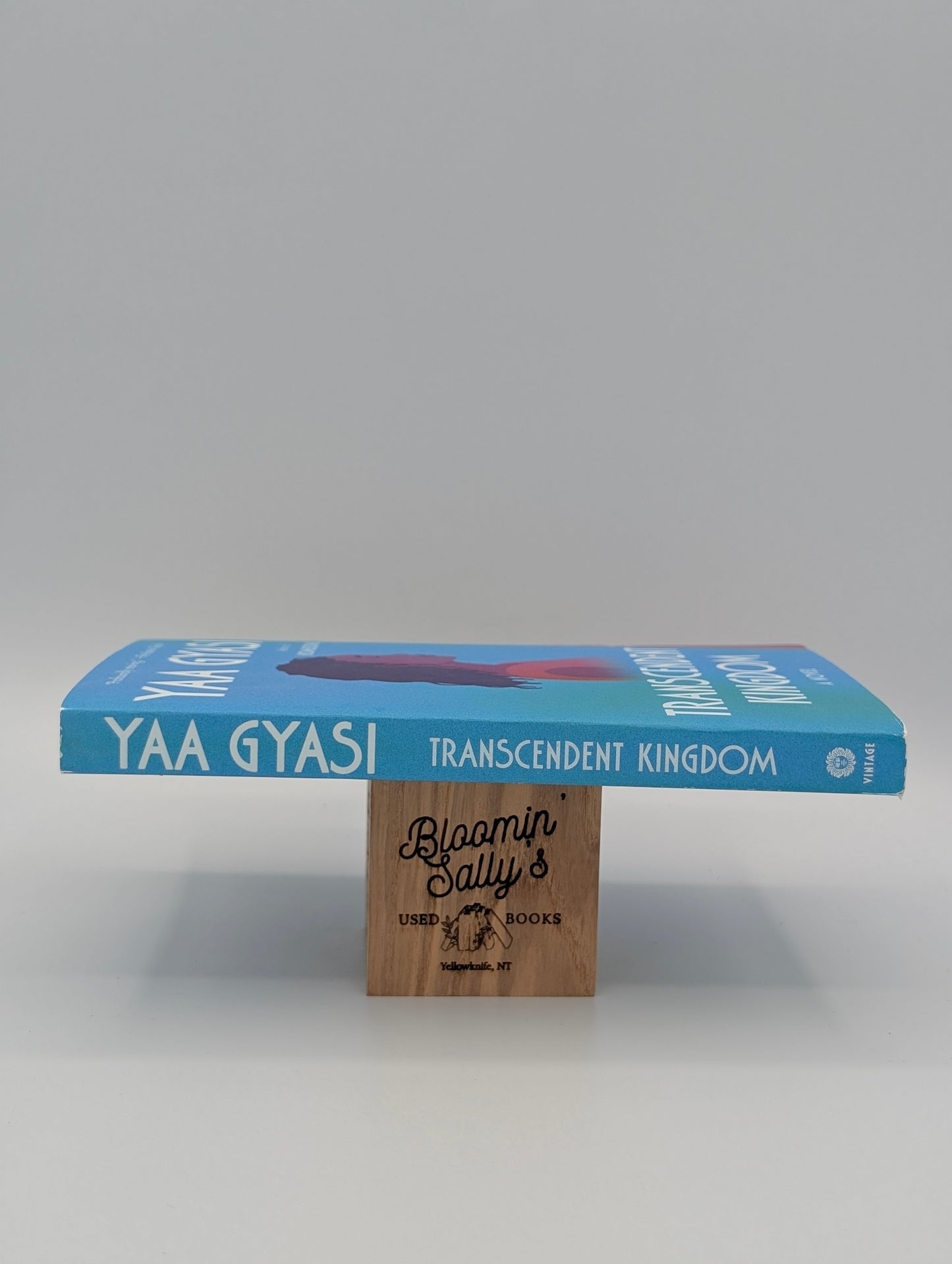 Transcendent Kingdom: A Read with Jenna Pick: A novel