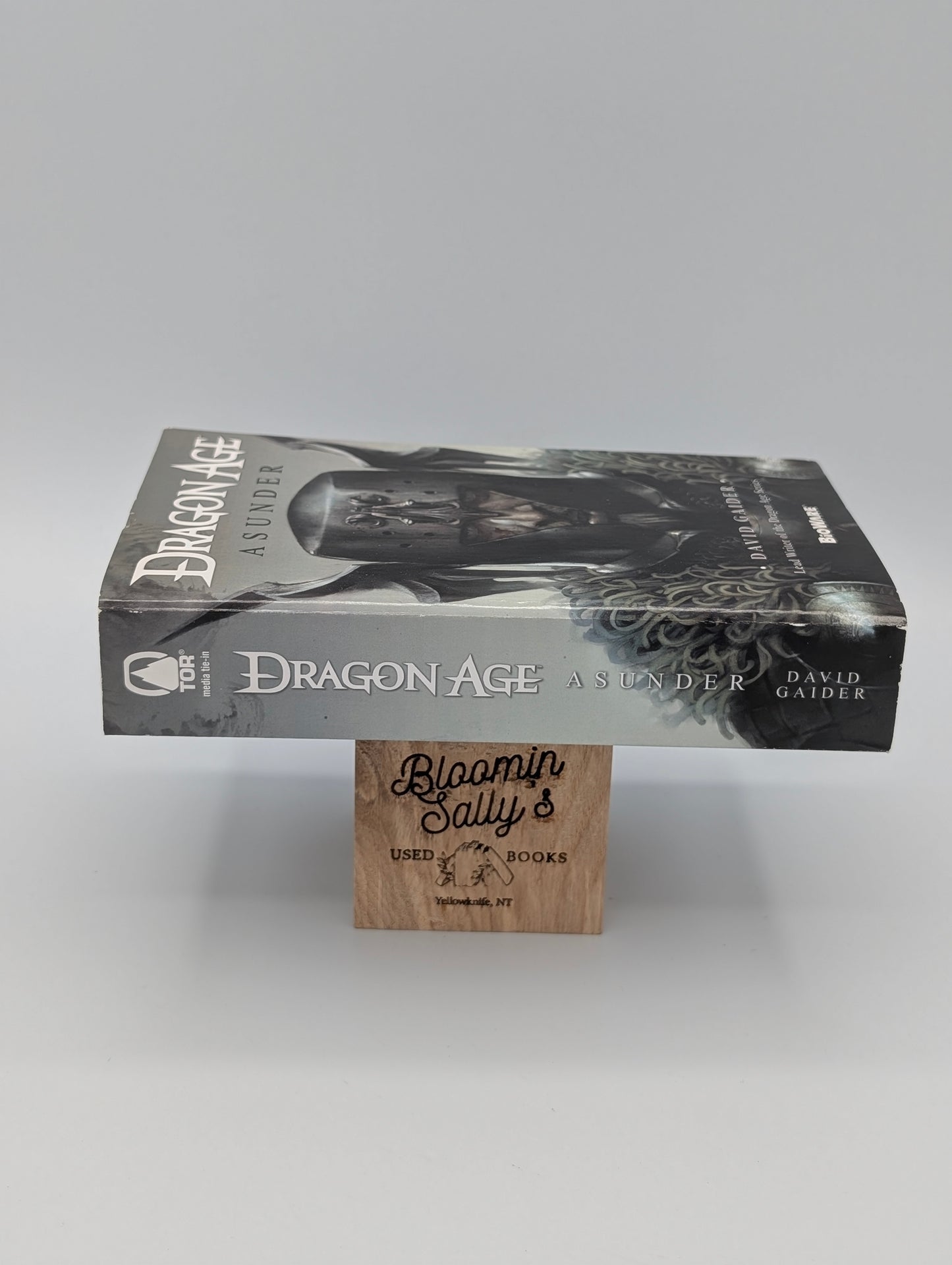 Dragon Age: Asunder