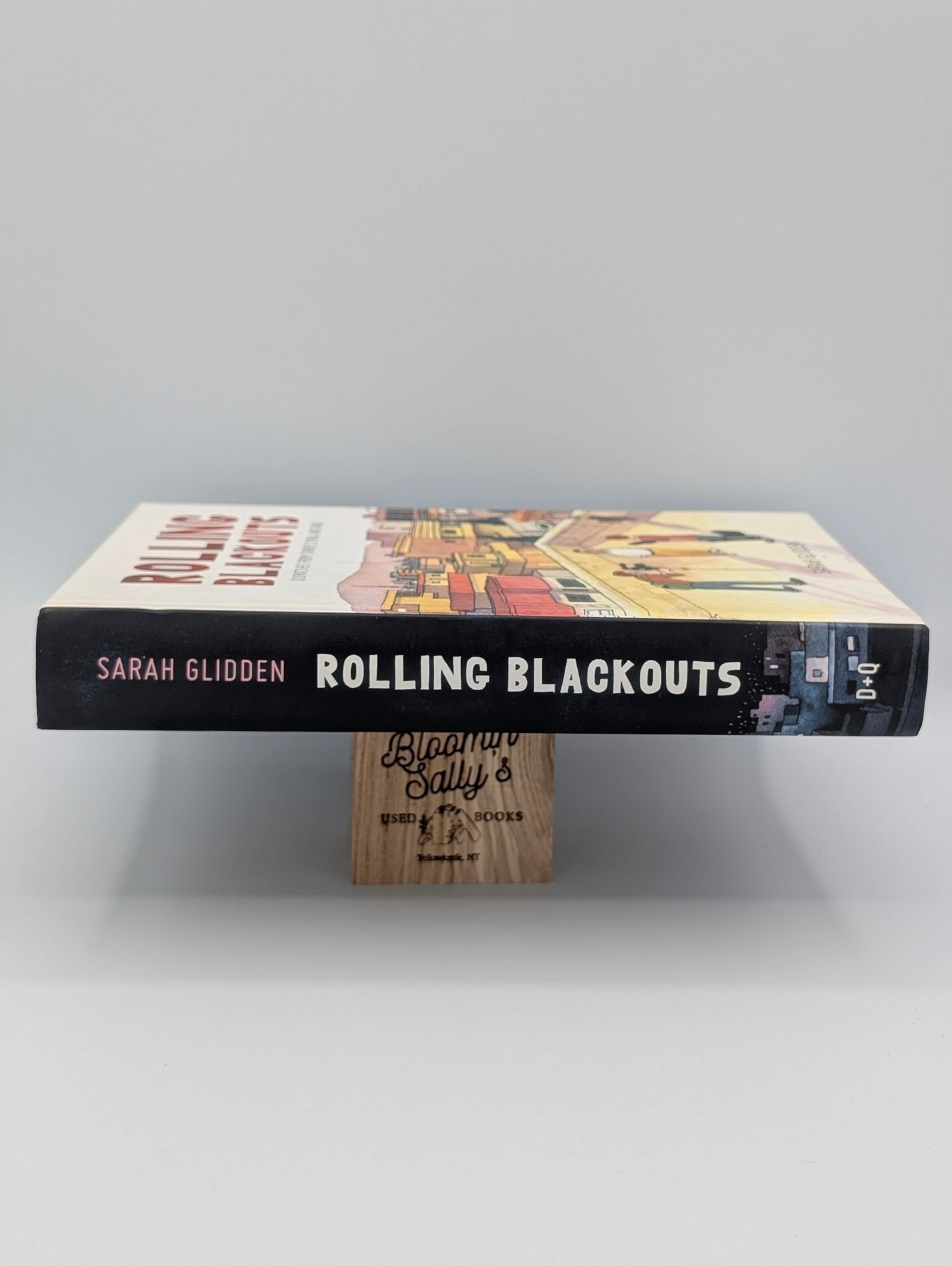 Rolling Blackouts: Dispatches from Turkey, Syria, and Iraq