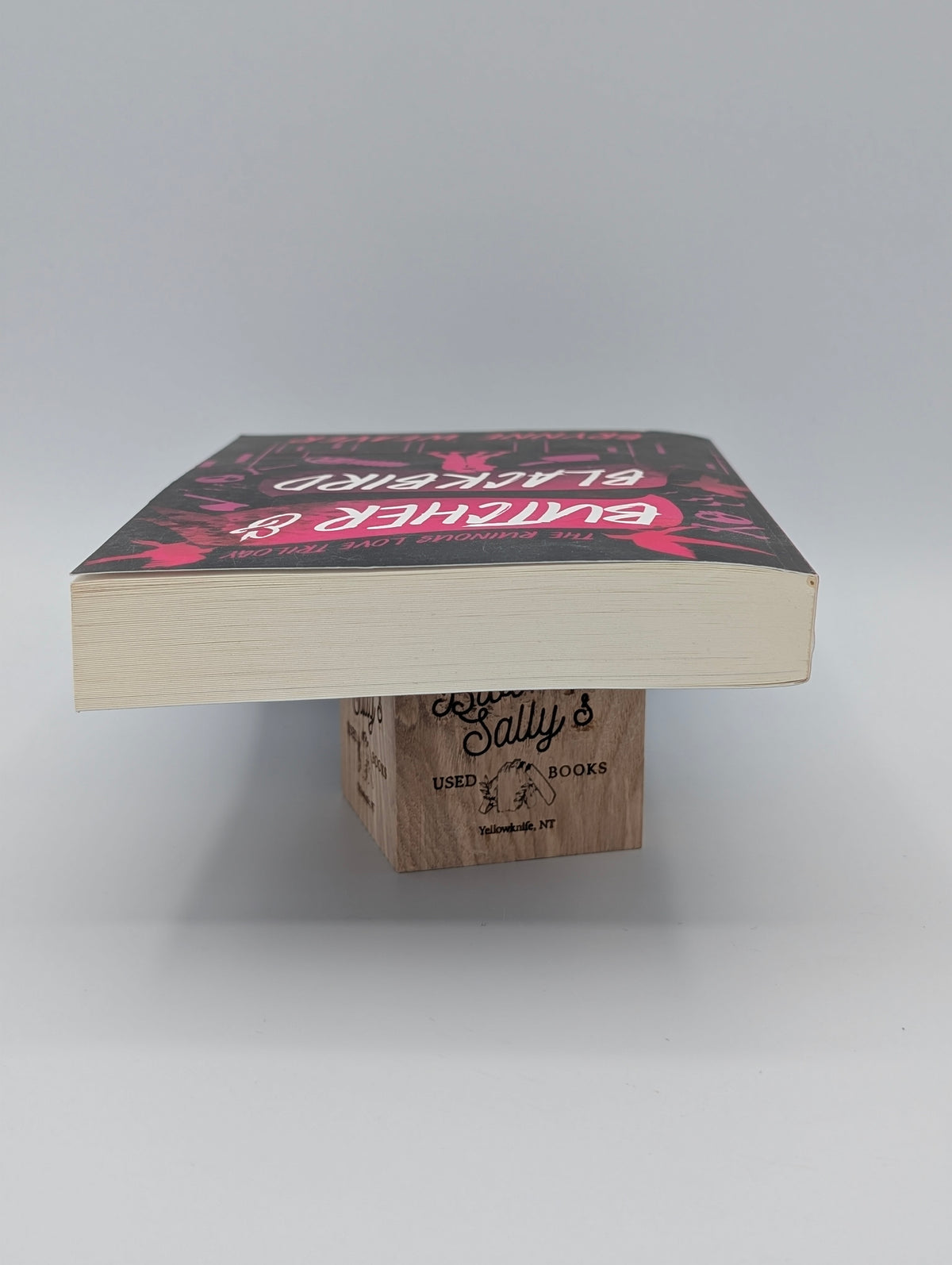 Butcher & Blackbird: The Ruinous Love Trilogy (The Ruinous Love Trilogy, 1)