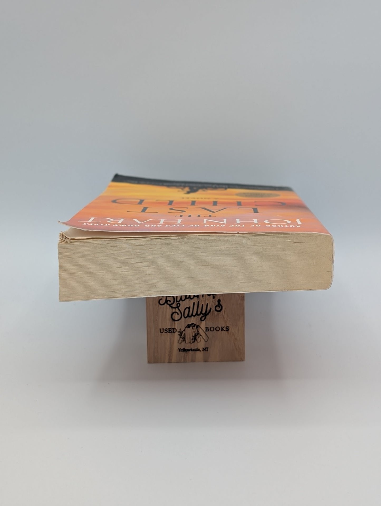 The Last Child: A Novel