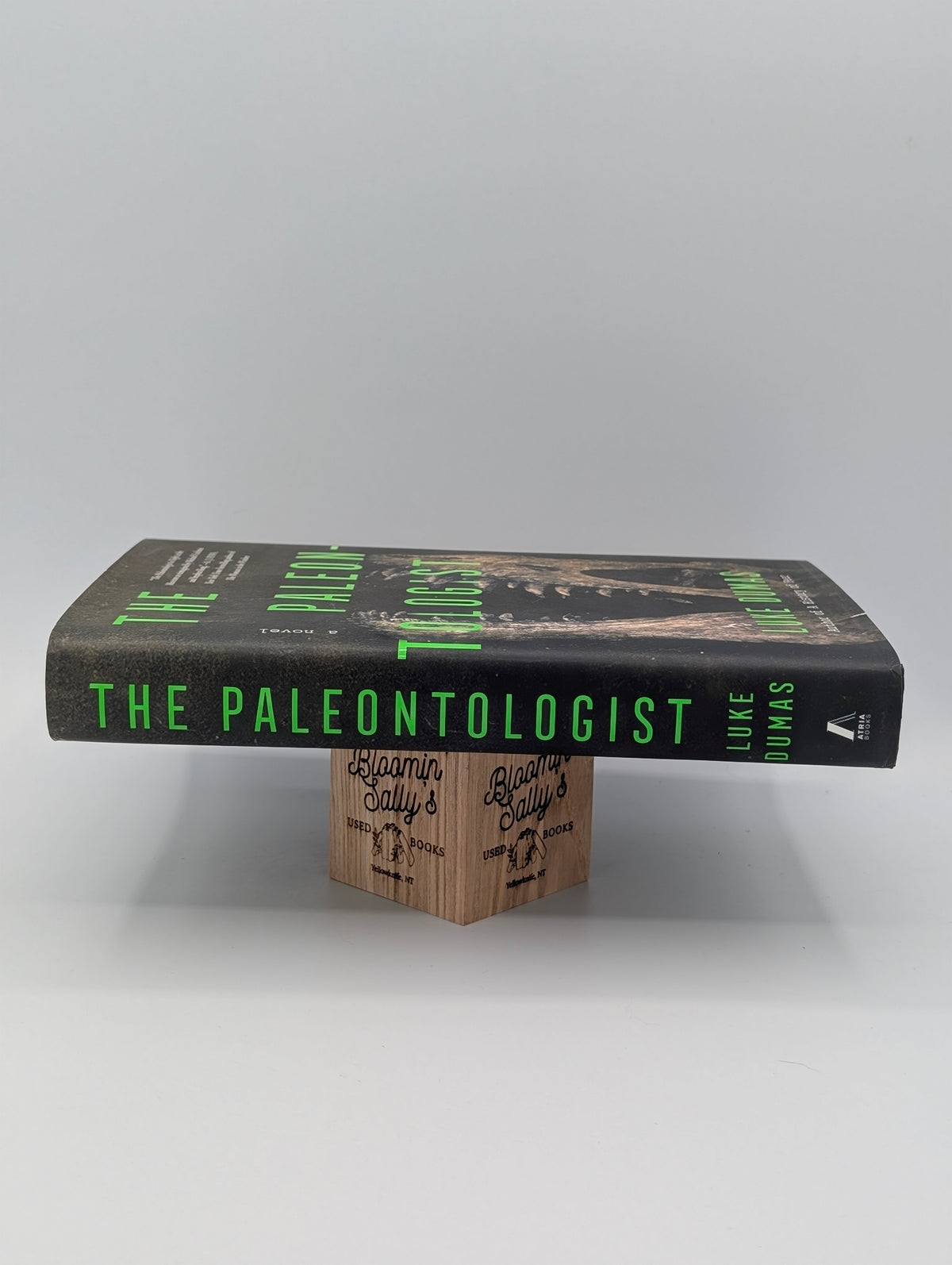 The Paleontologist