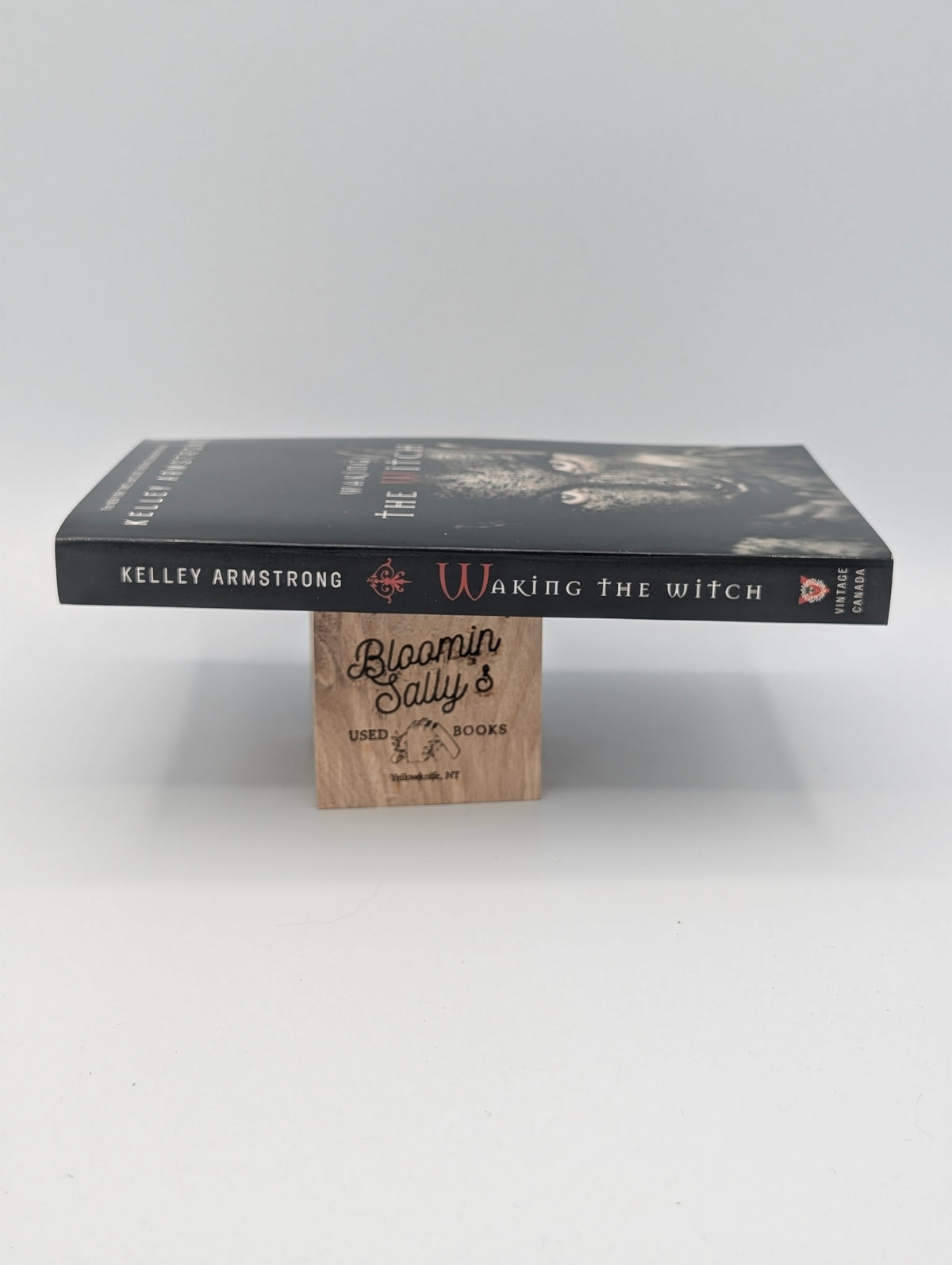 Waking the Witch (The Women of the Otherworld Series)