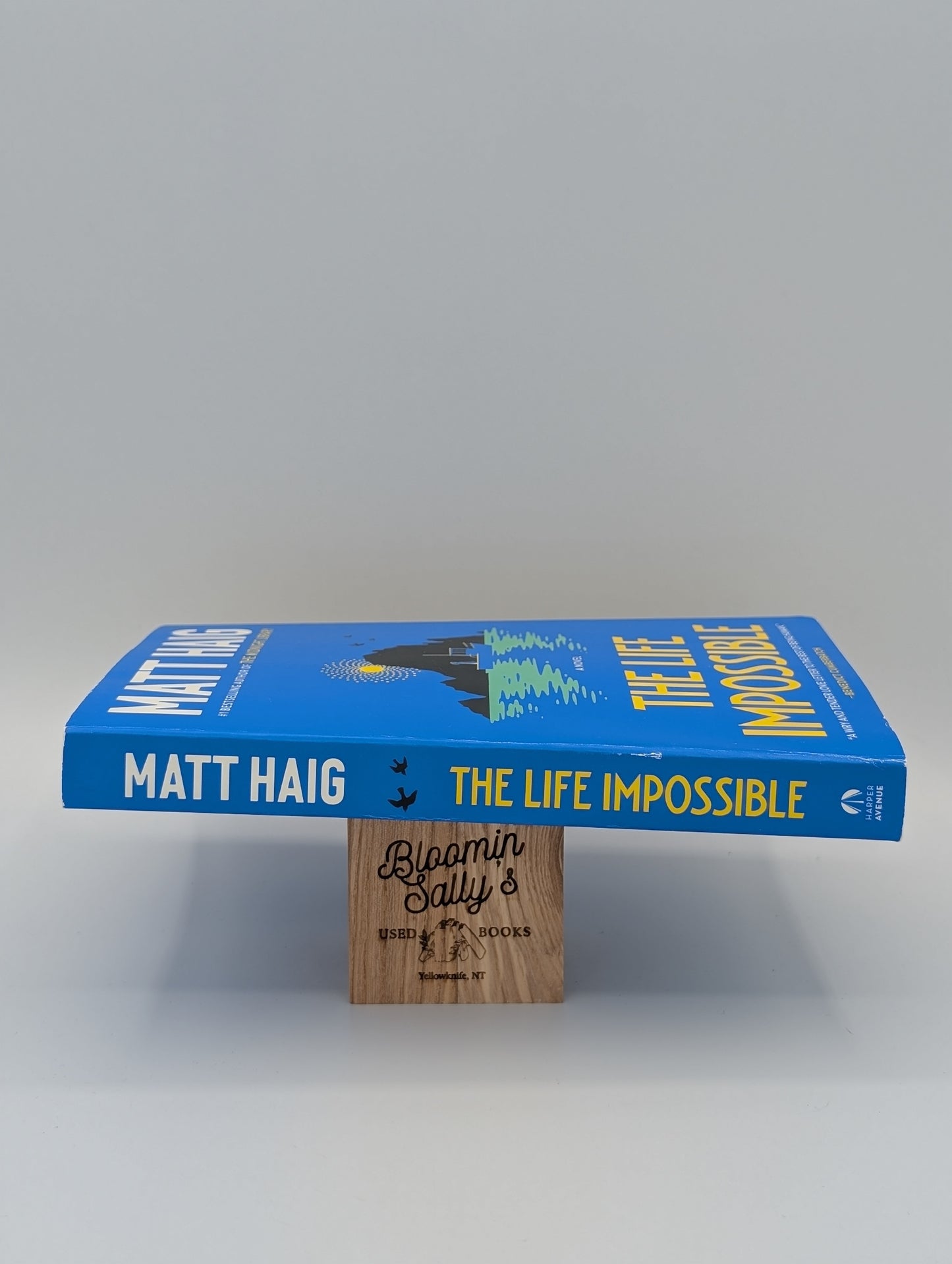 La vie impossible : un roman