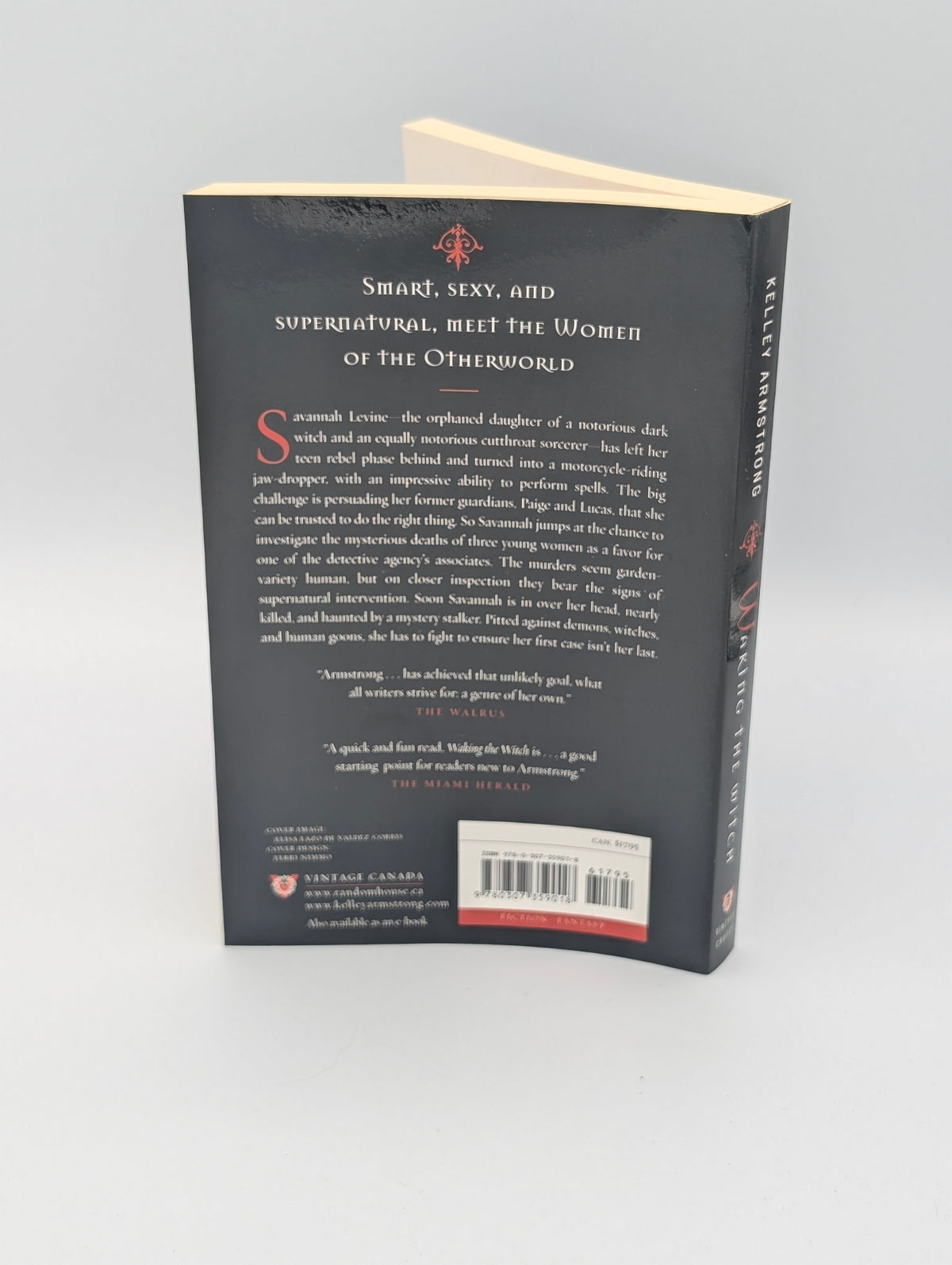 Waking the Witch (The Women of the Otherworld Series)
