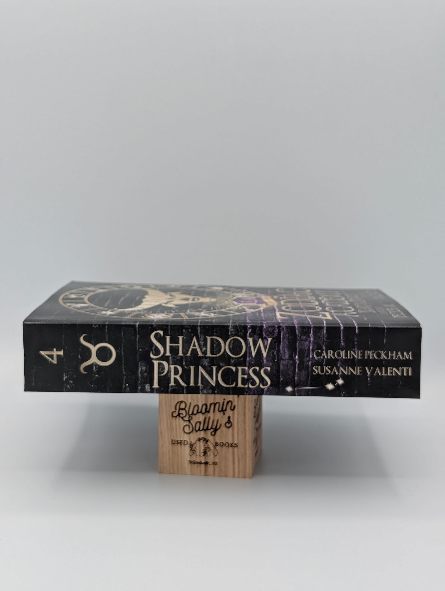 Zodiac Academy 4: Shadow Princess