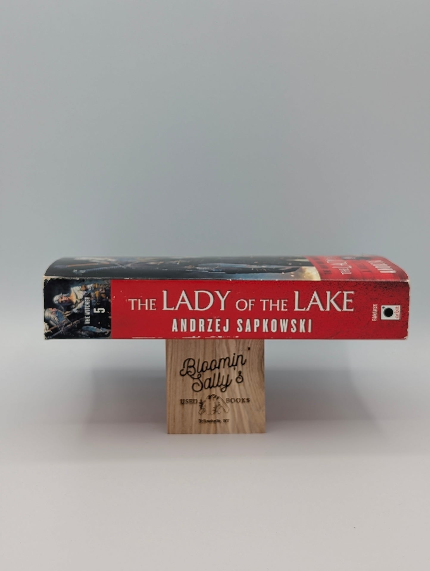 The Lady of the Lake (The Witcher, 7)