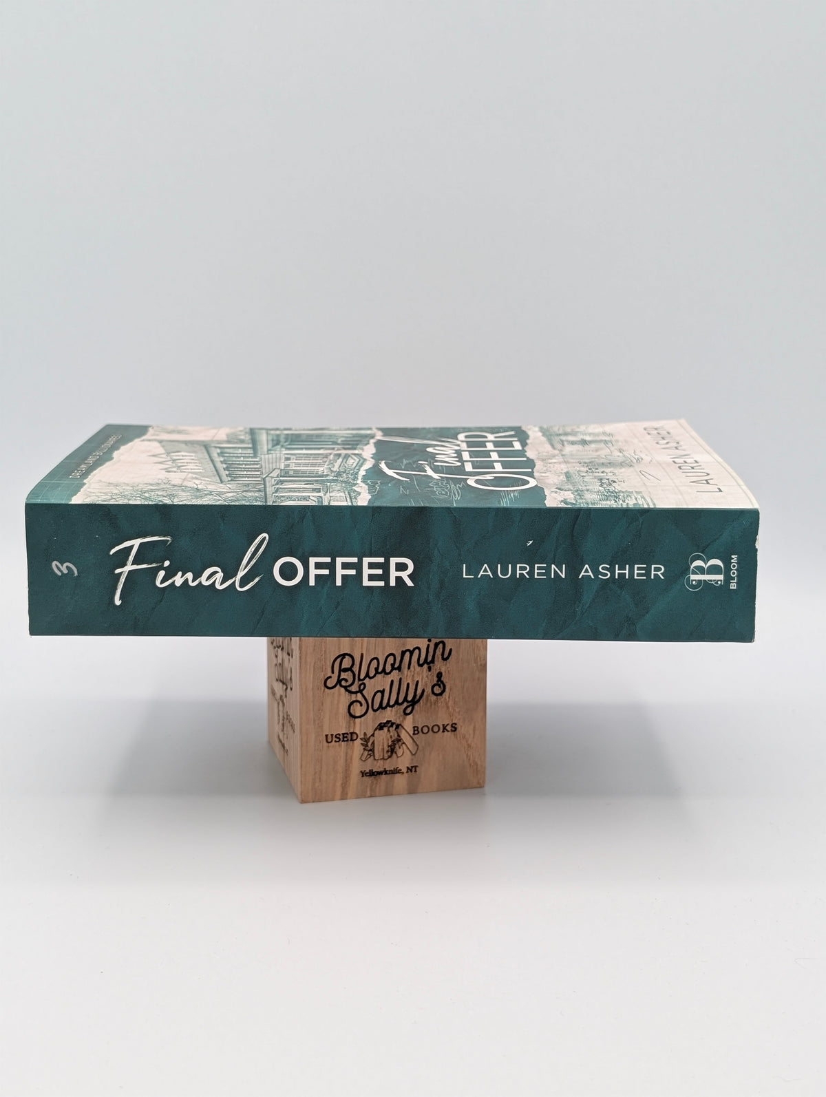 Final Offer (Dreamland Billionaires, 3)