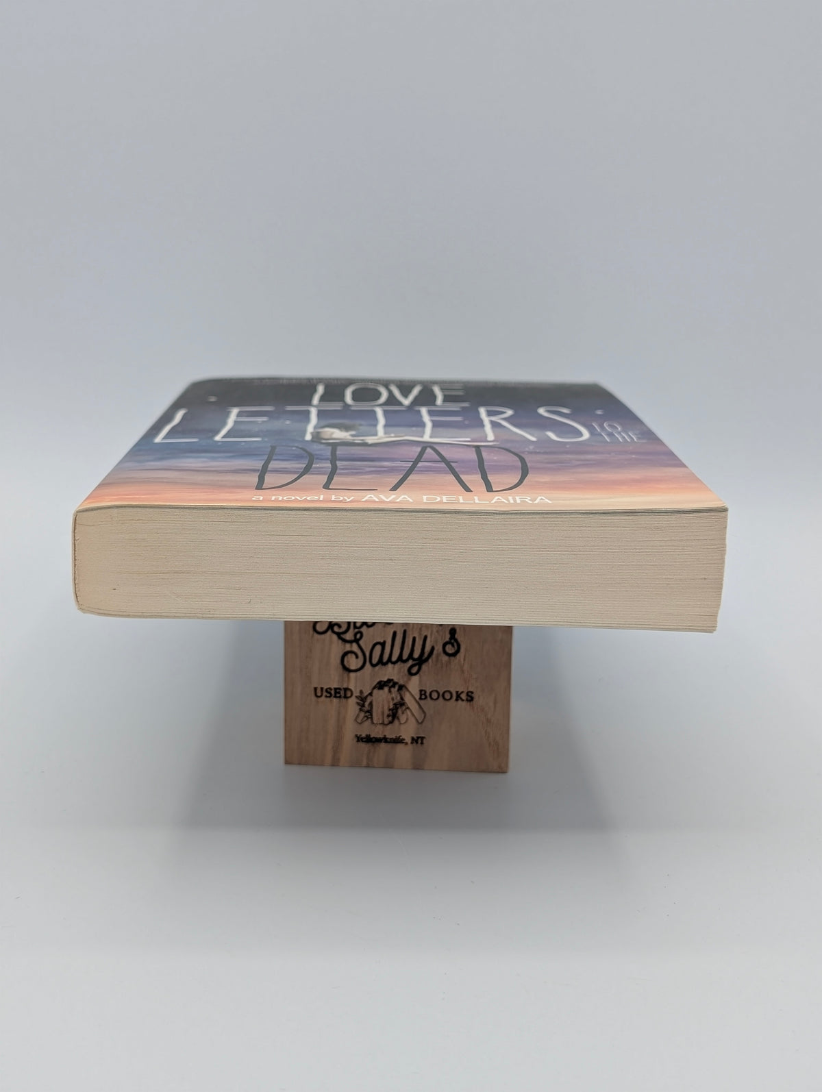 Love Letters to the Dead: A Novel