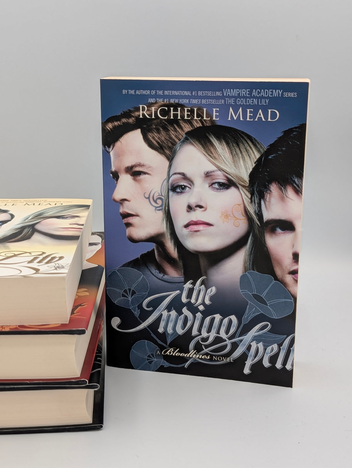 Richelle Mead 5-Book Bundle