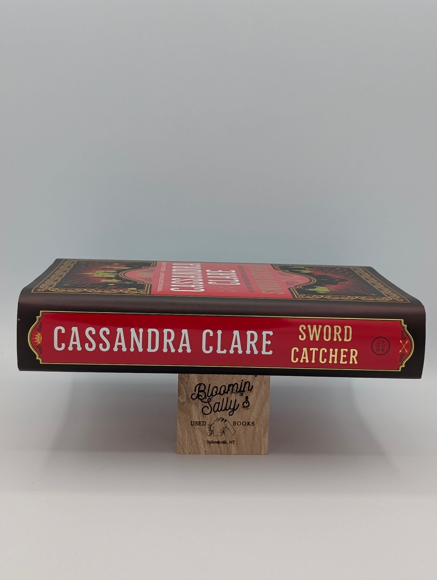 Sword Catcher (The Chronicles of Castellane)