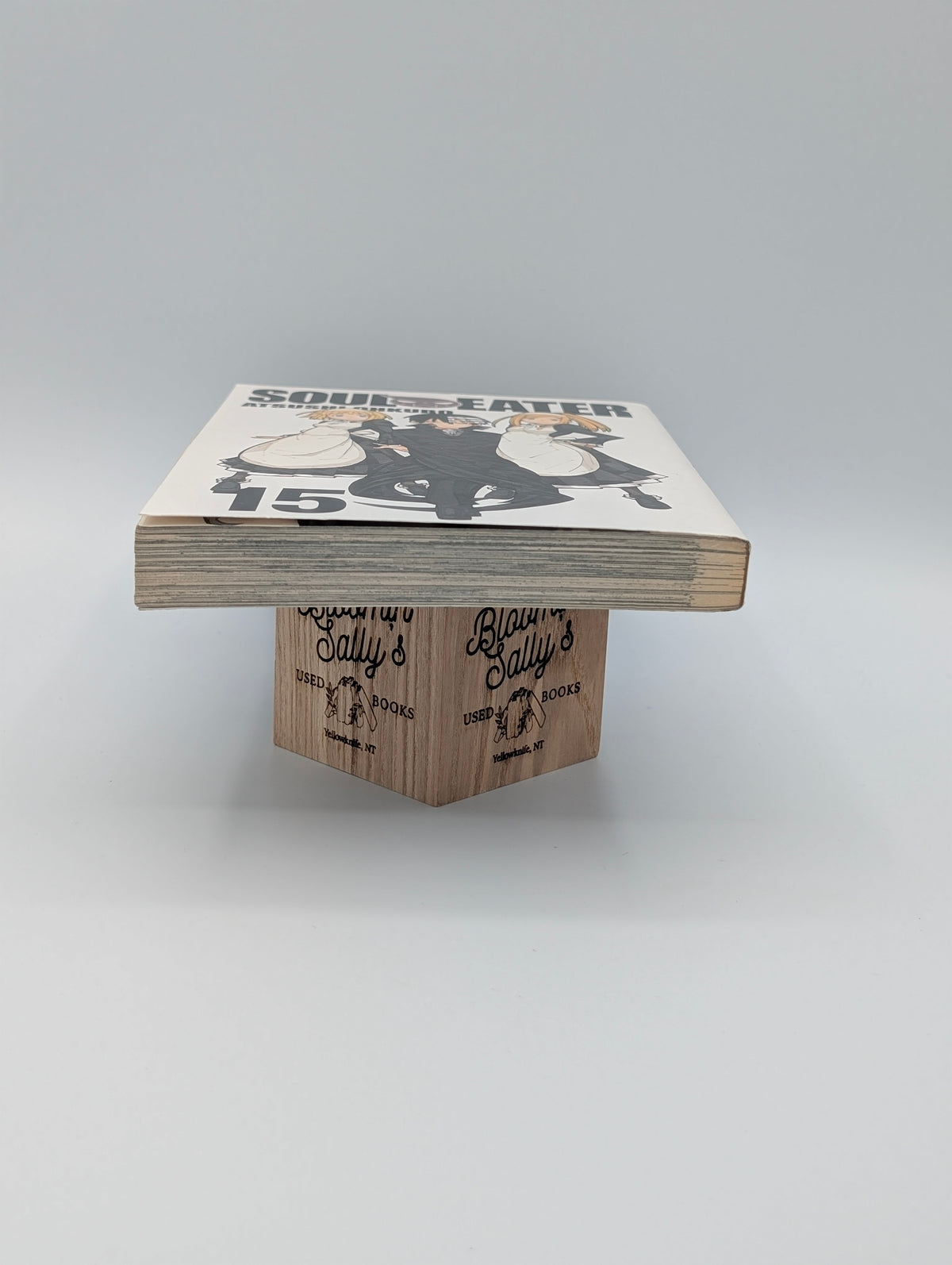 Soul Eater, Vol. 15 (Volume 15)