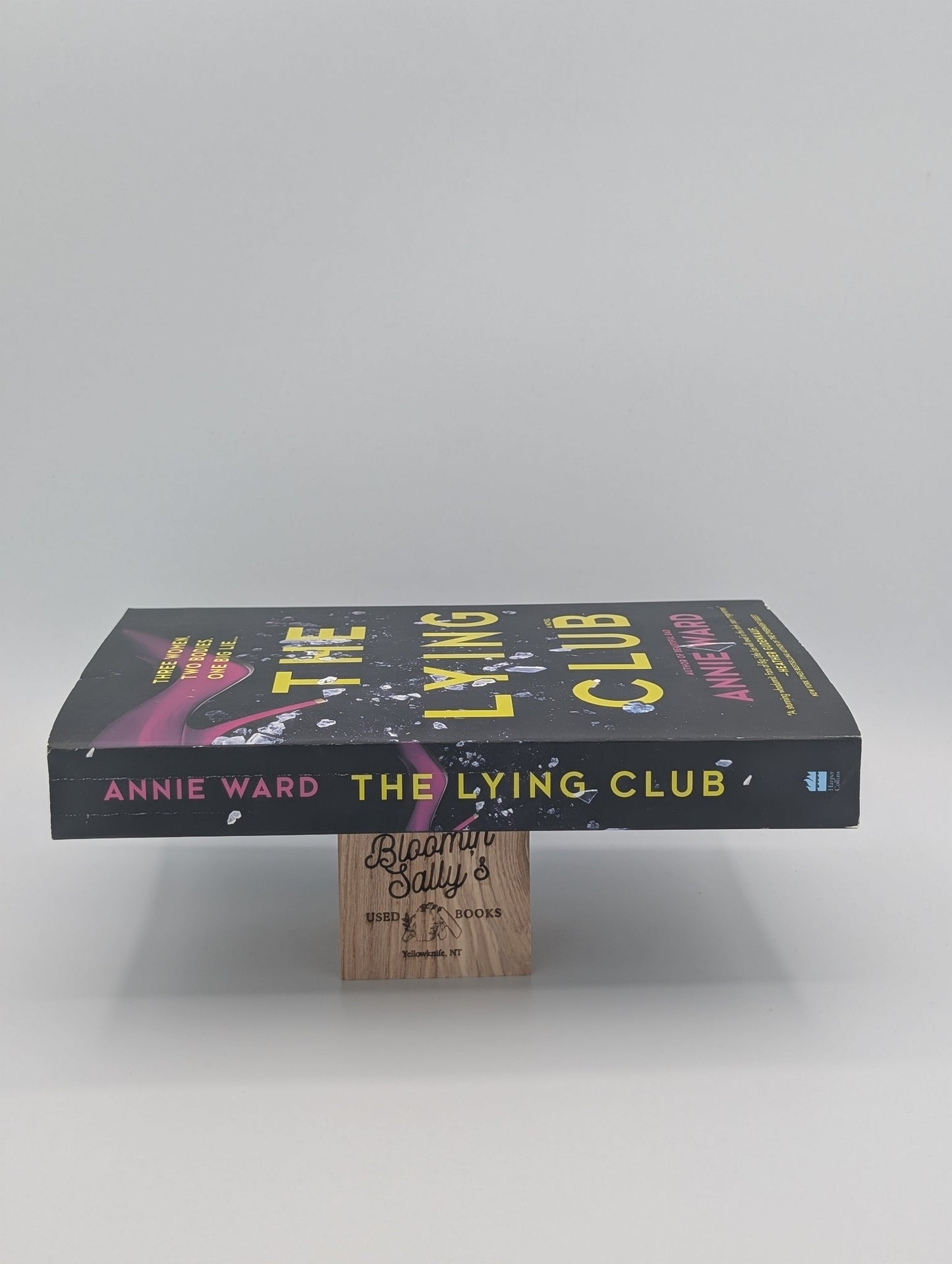The Lying Club: A Novel