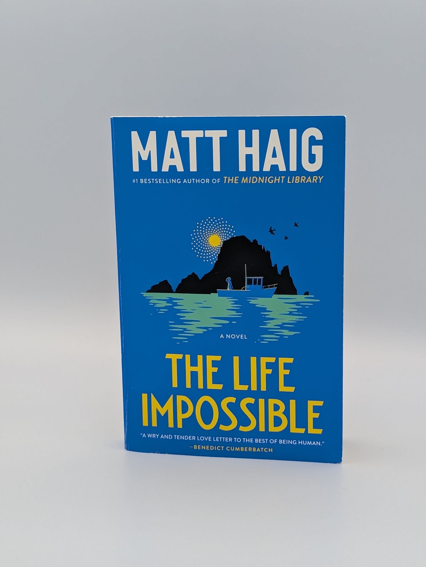 La vie impossible : un roman