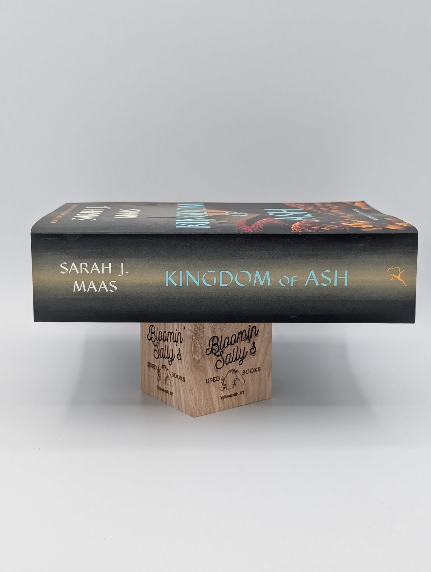 Kingdom of Ash (Throne of Glass, 7)