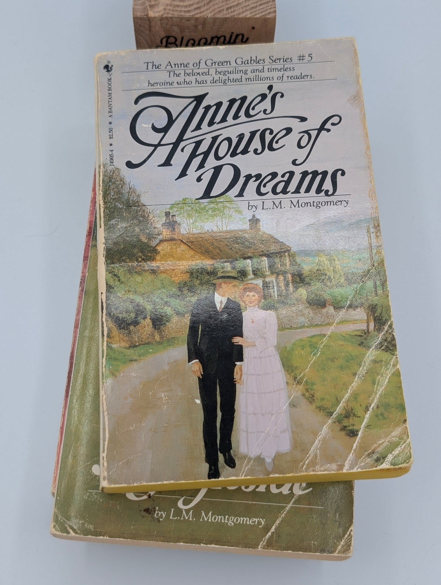 Anne of Green Gables Bundle