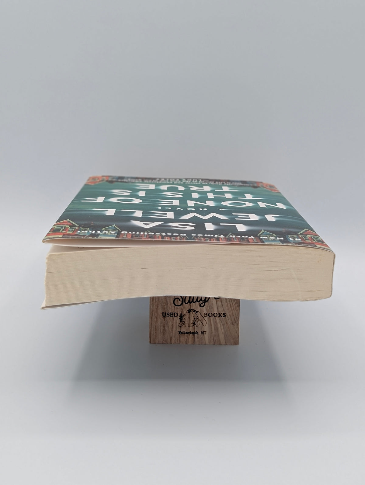 None of This Is True: A Novel