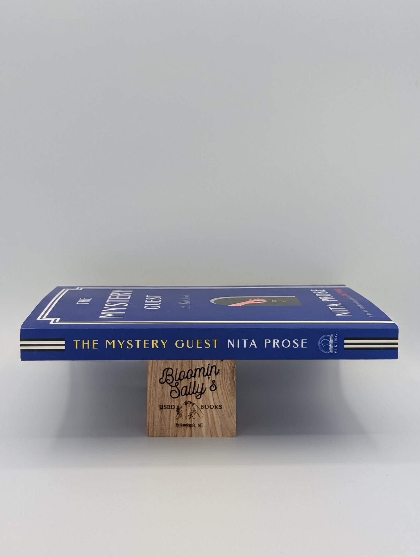The Mystery Guest: A Maid Novel (Molly the Maid)